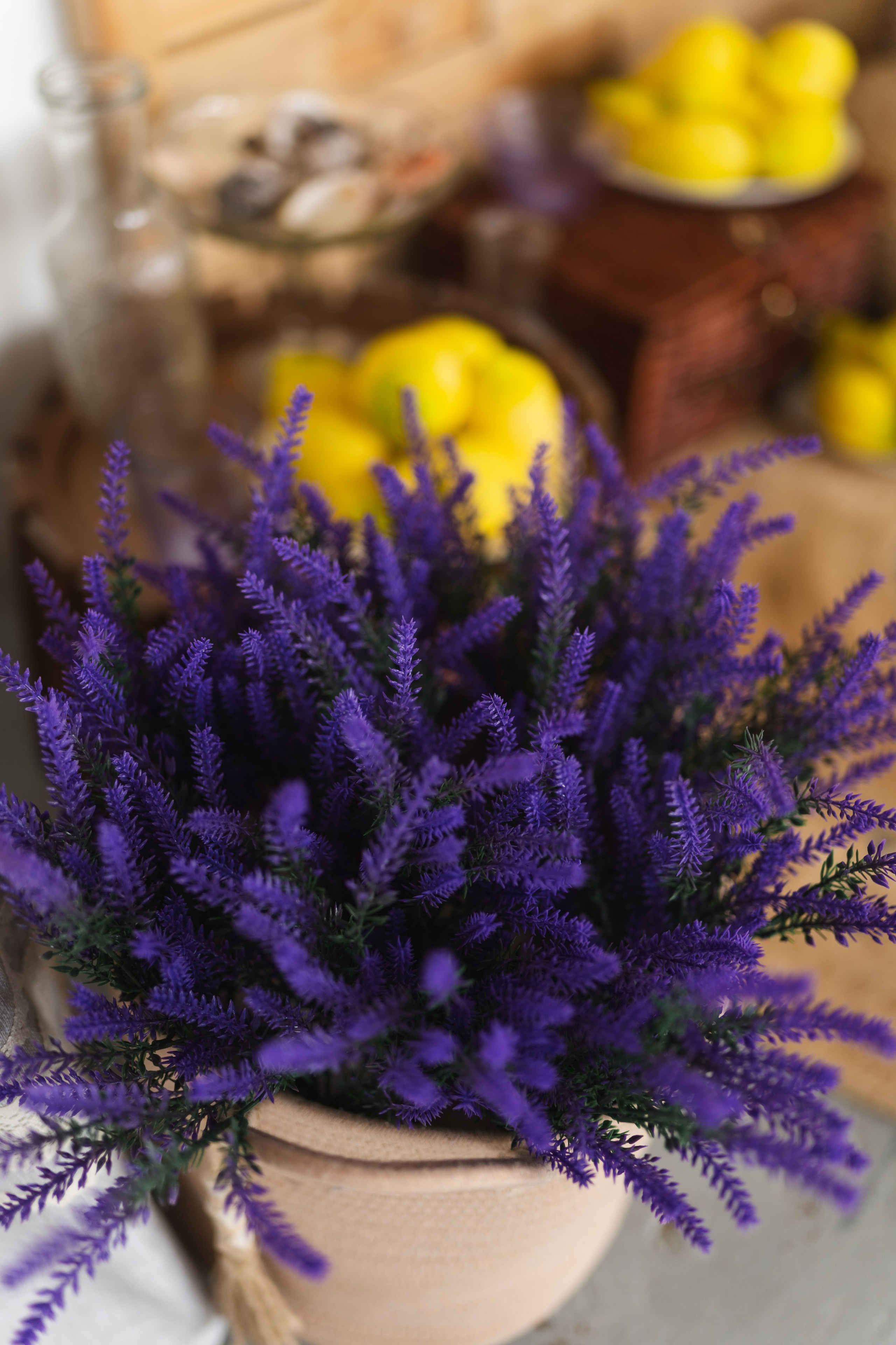 Зал Life фотостудия Импульс. Фотостудия в Саратове. Фотограф в Саратове