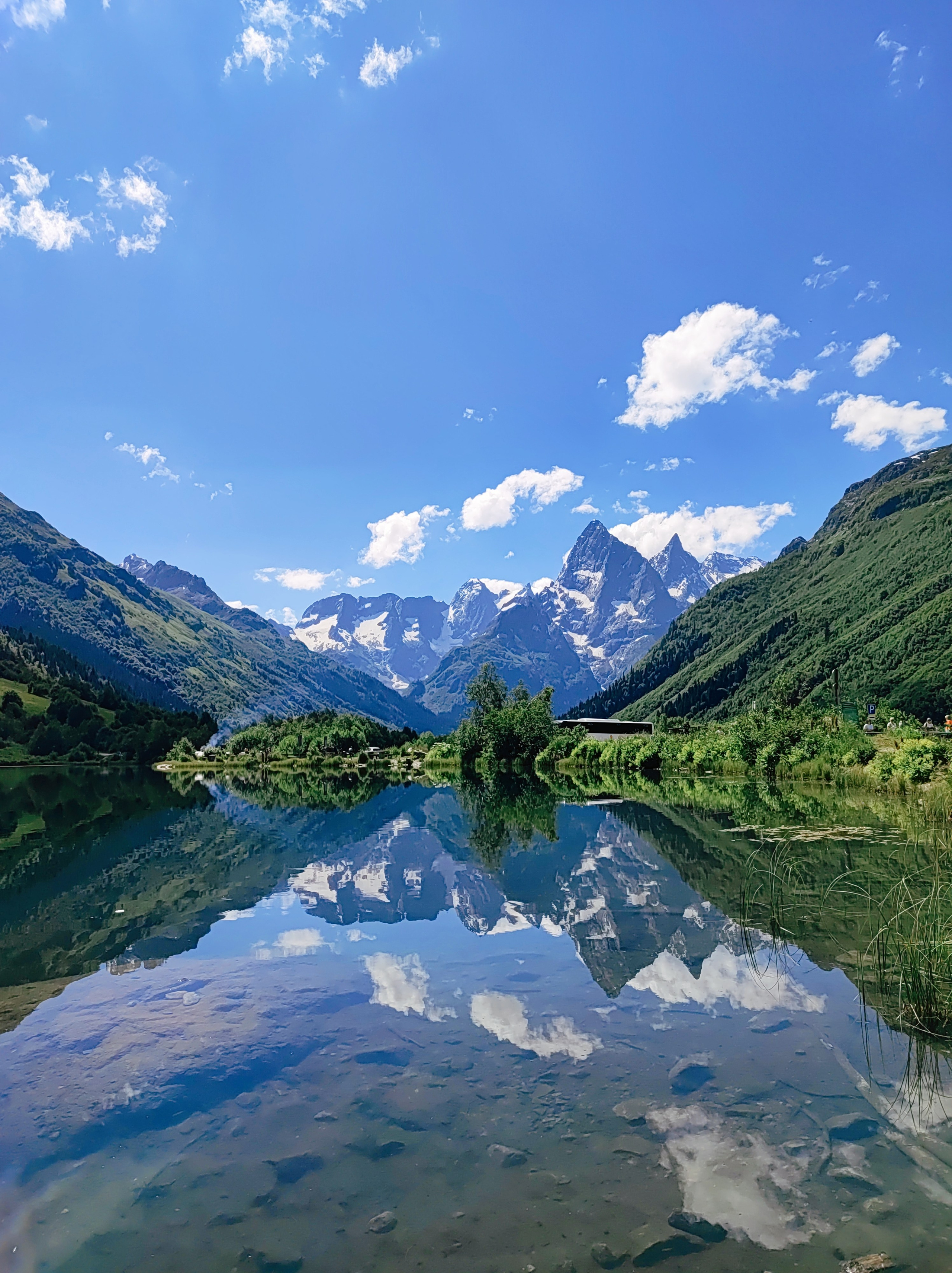Намобилкус кавказский. Репортажный фотограф Алексей Пирязев