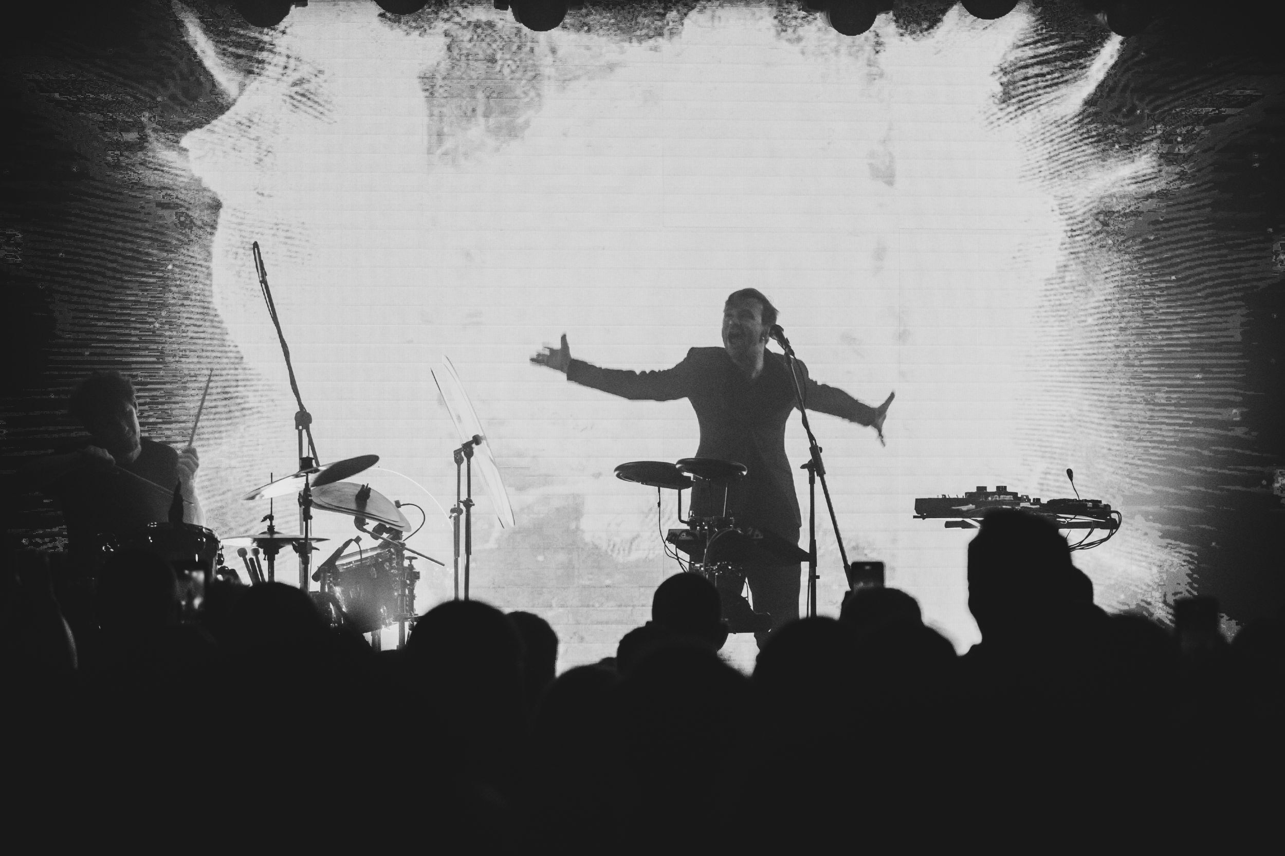 Дельфин. Репортажный фотограф Алексей Пирязев