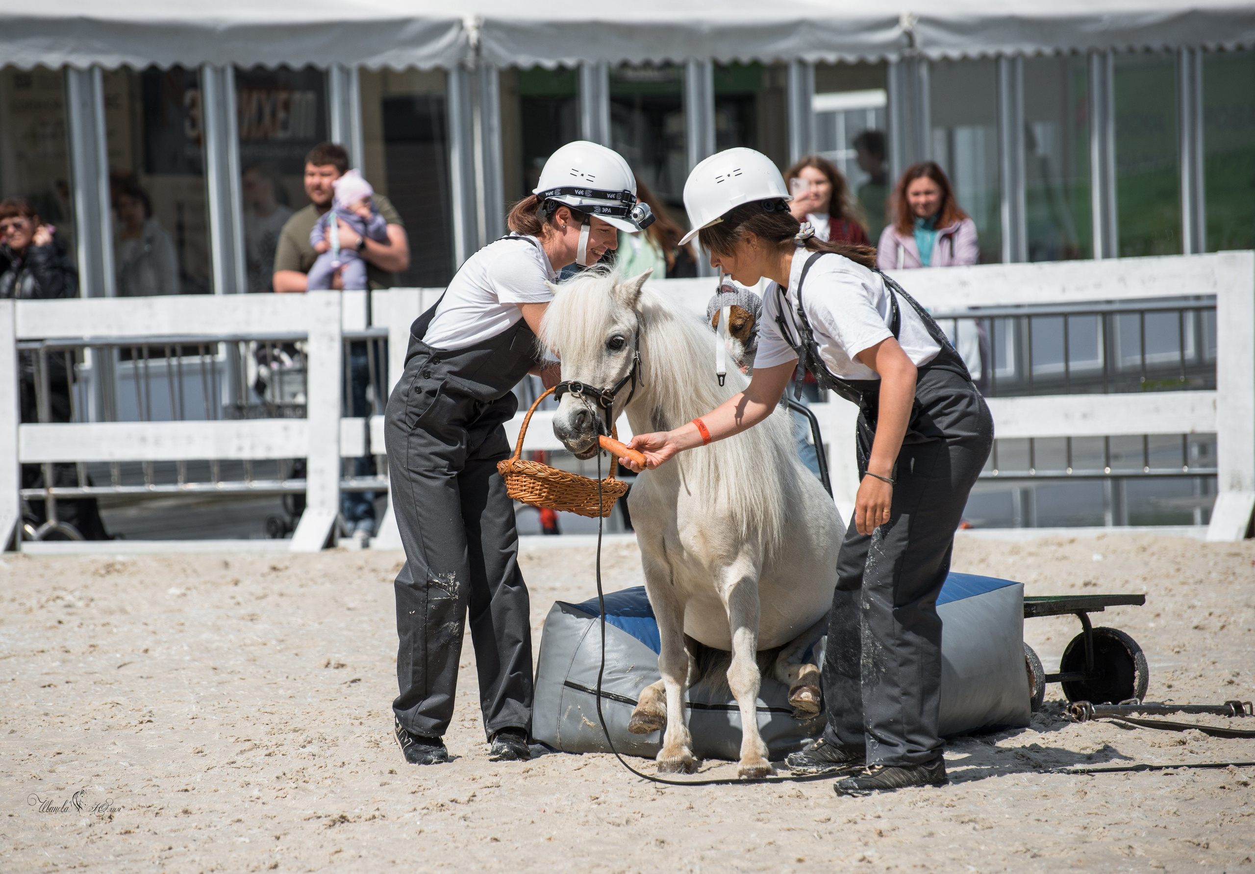 Эквирос, Москва. Конный фотограф в Саратове Юлия Иванова