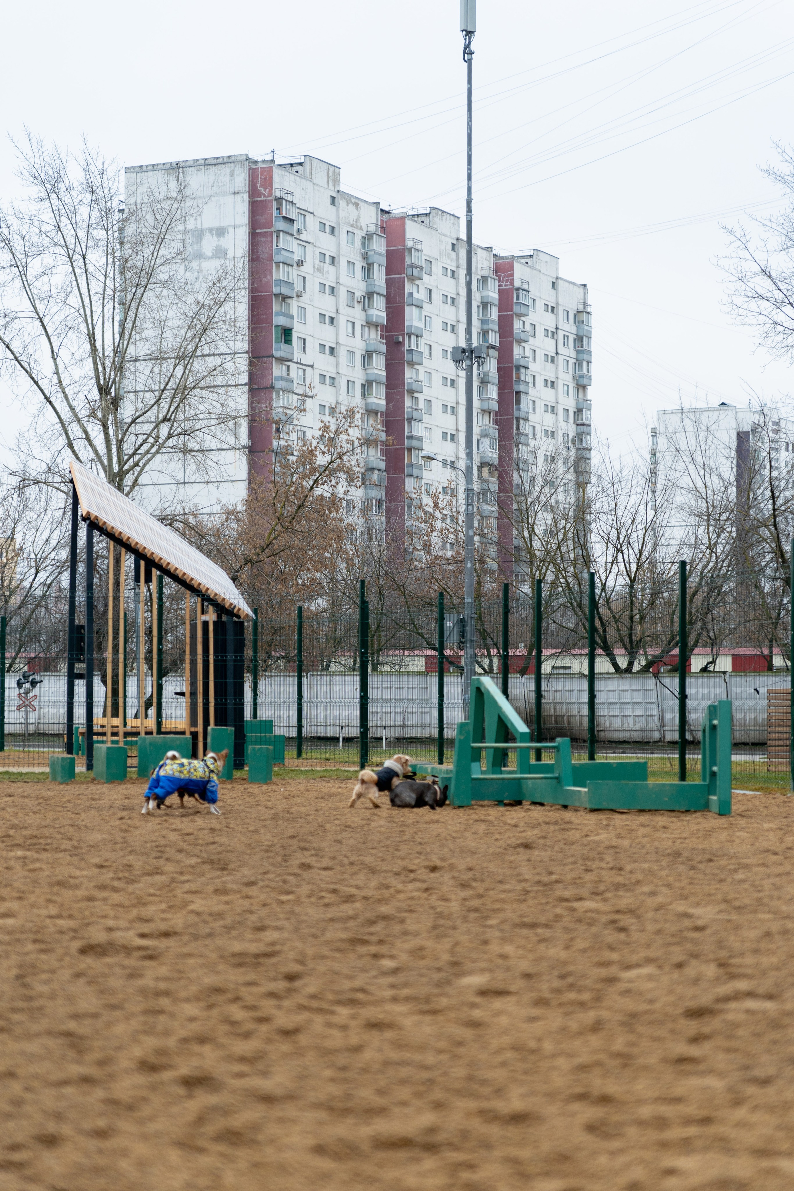 Площалка. Фотограф в Москве Лера Голубенко