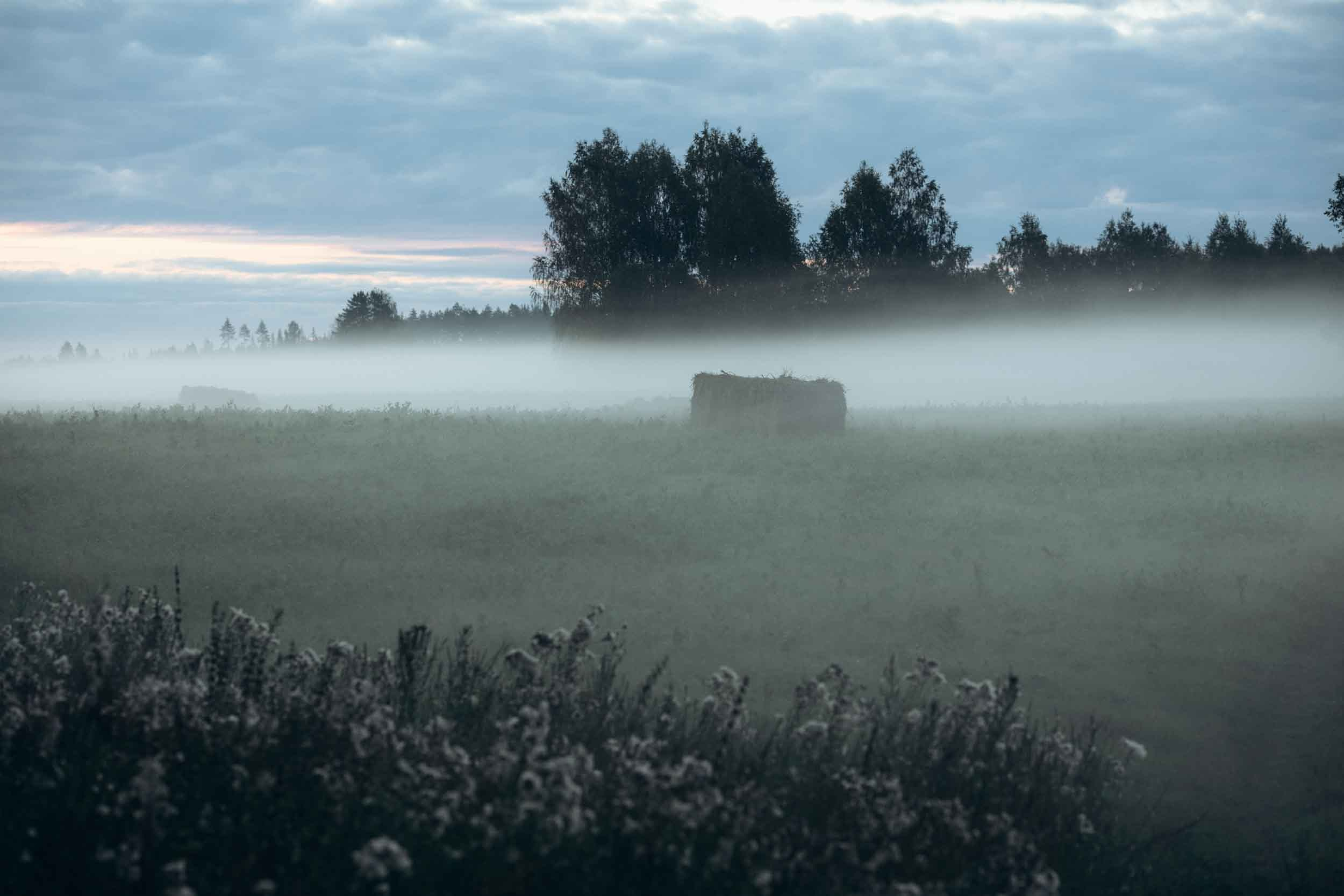Природные пейзажи. Наталия Клевинскас портретный фотограф в Костроме