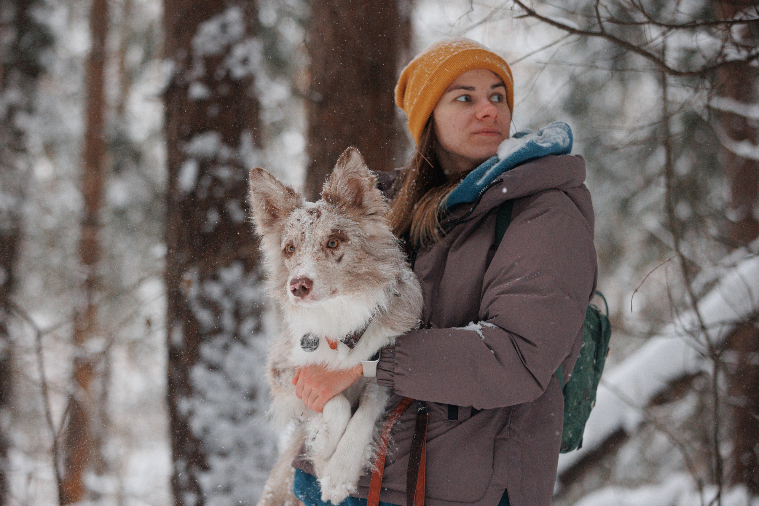 Даша и компания. Фотограф анималист Кристина Карпова, Москва