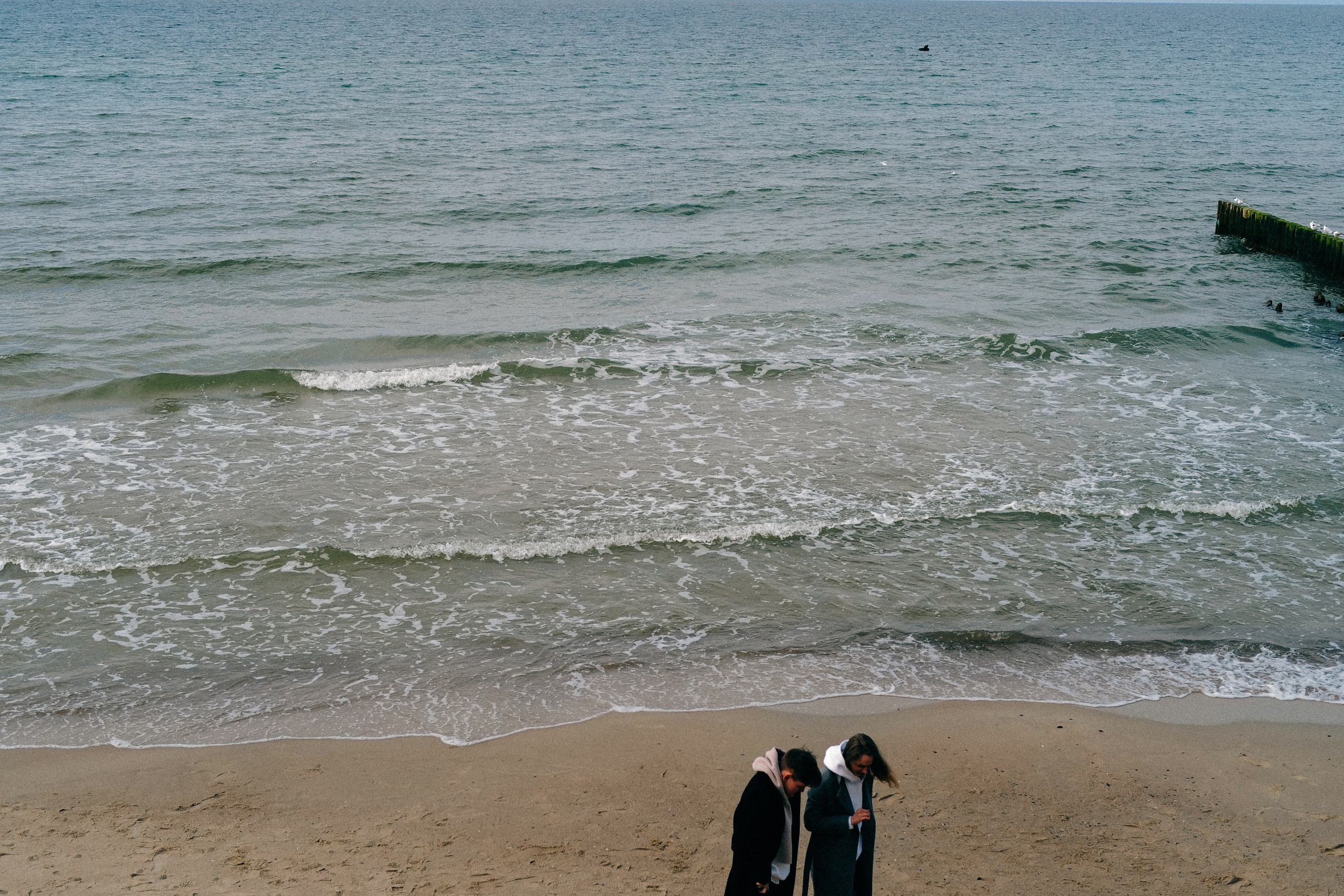 Zelenogradsk. Фотограф София Комкина