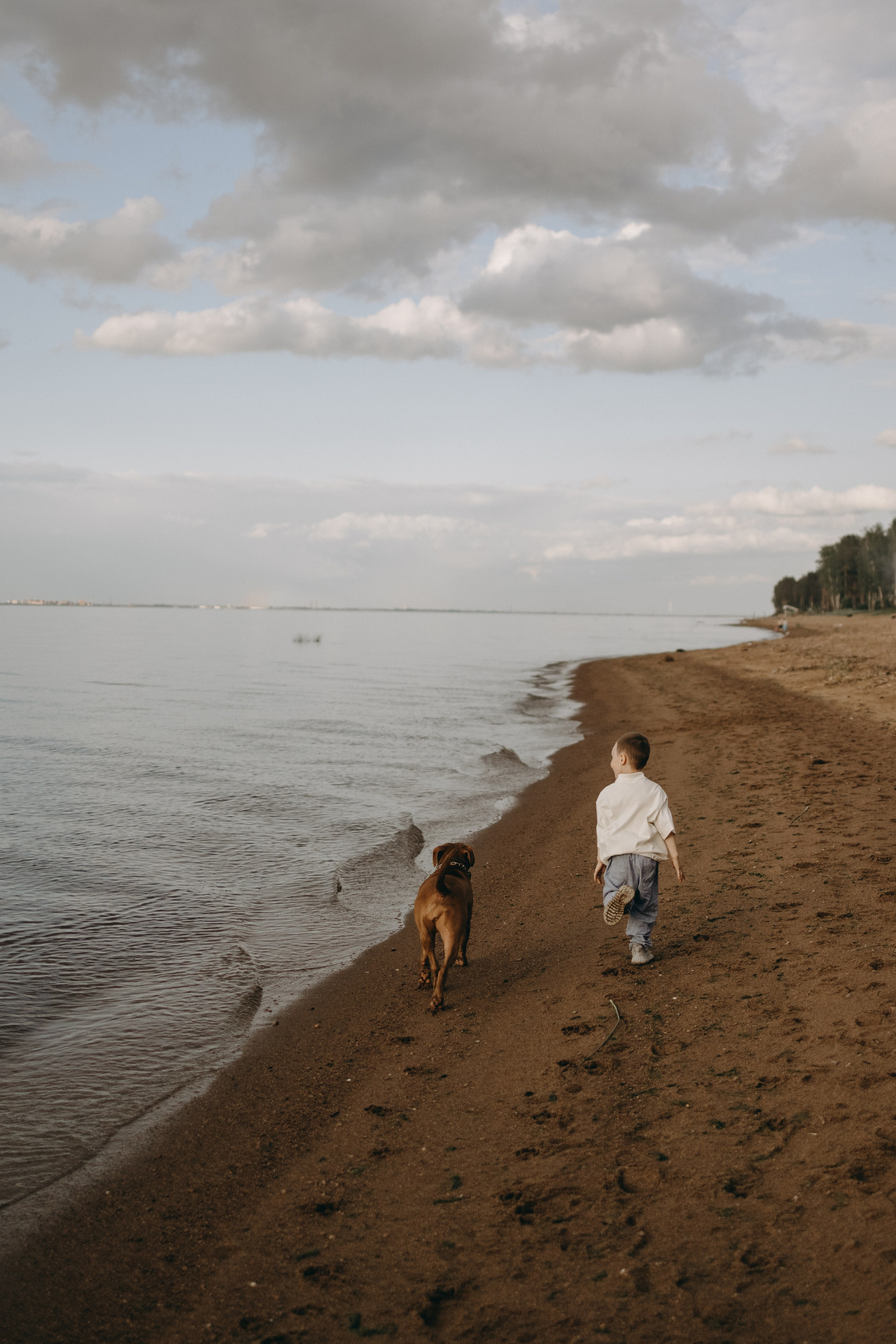 Бонни и ее семья. Фотограф — Анималист | Санкт-Петербург