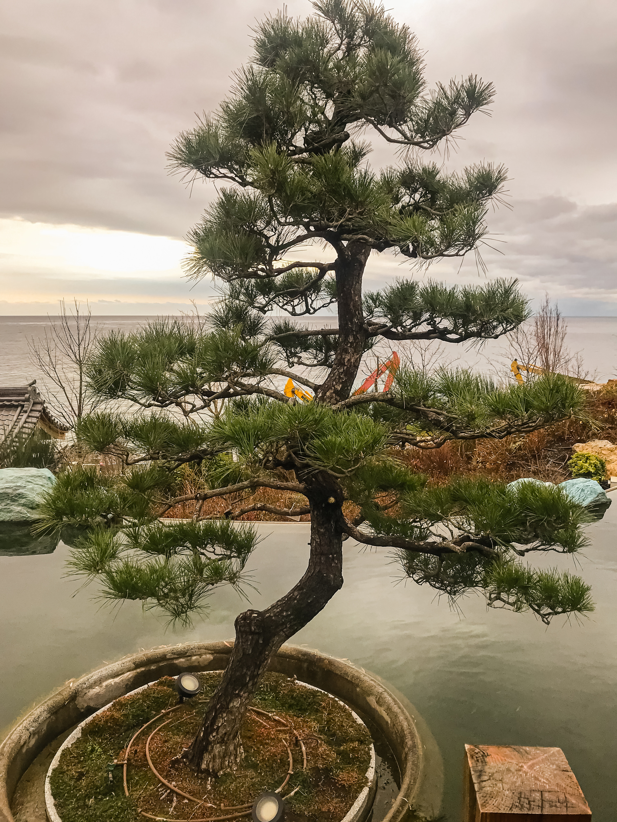 Mriya Resort & Spa, Crimea. Traveling soul