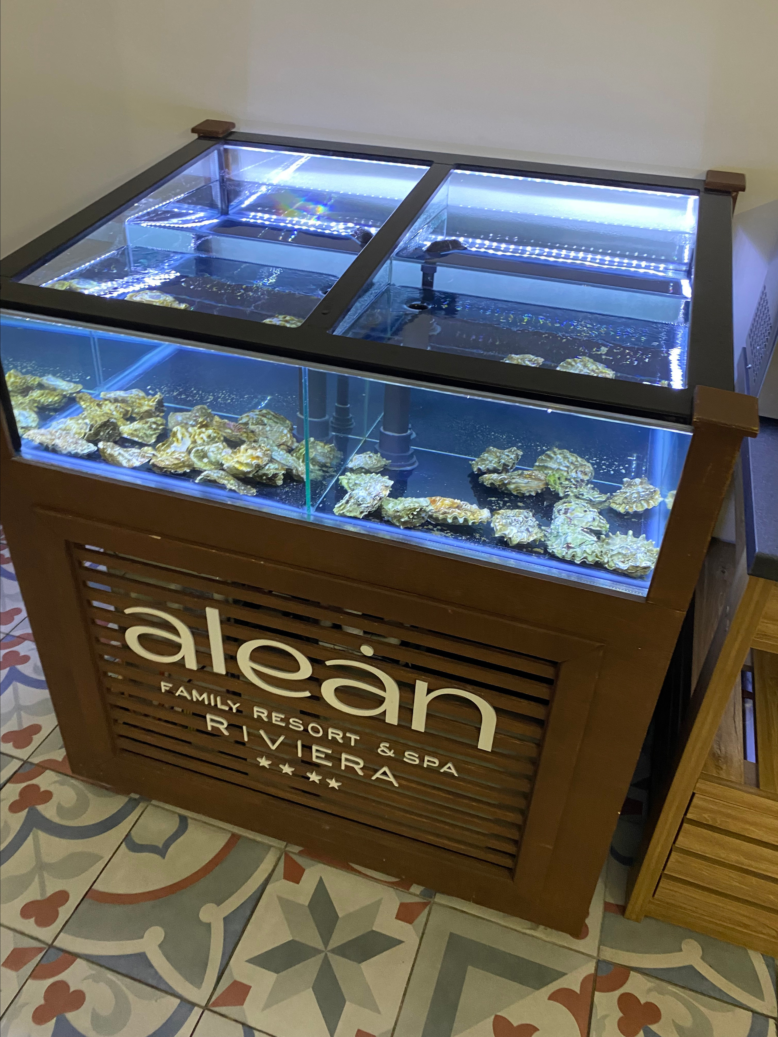 Alean Family Riviera, Anapa, Russia. Traveling soul