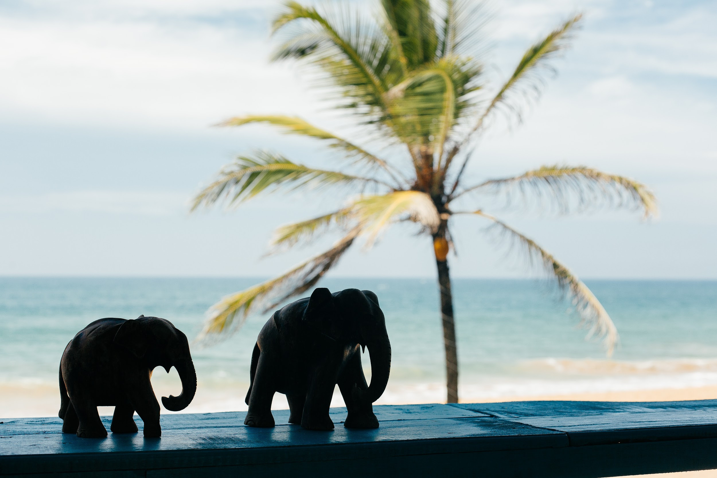 Lavanga Resort & Spa, Hikkaduwa, Sri Lanka. Traveling soul