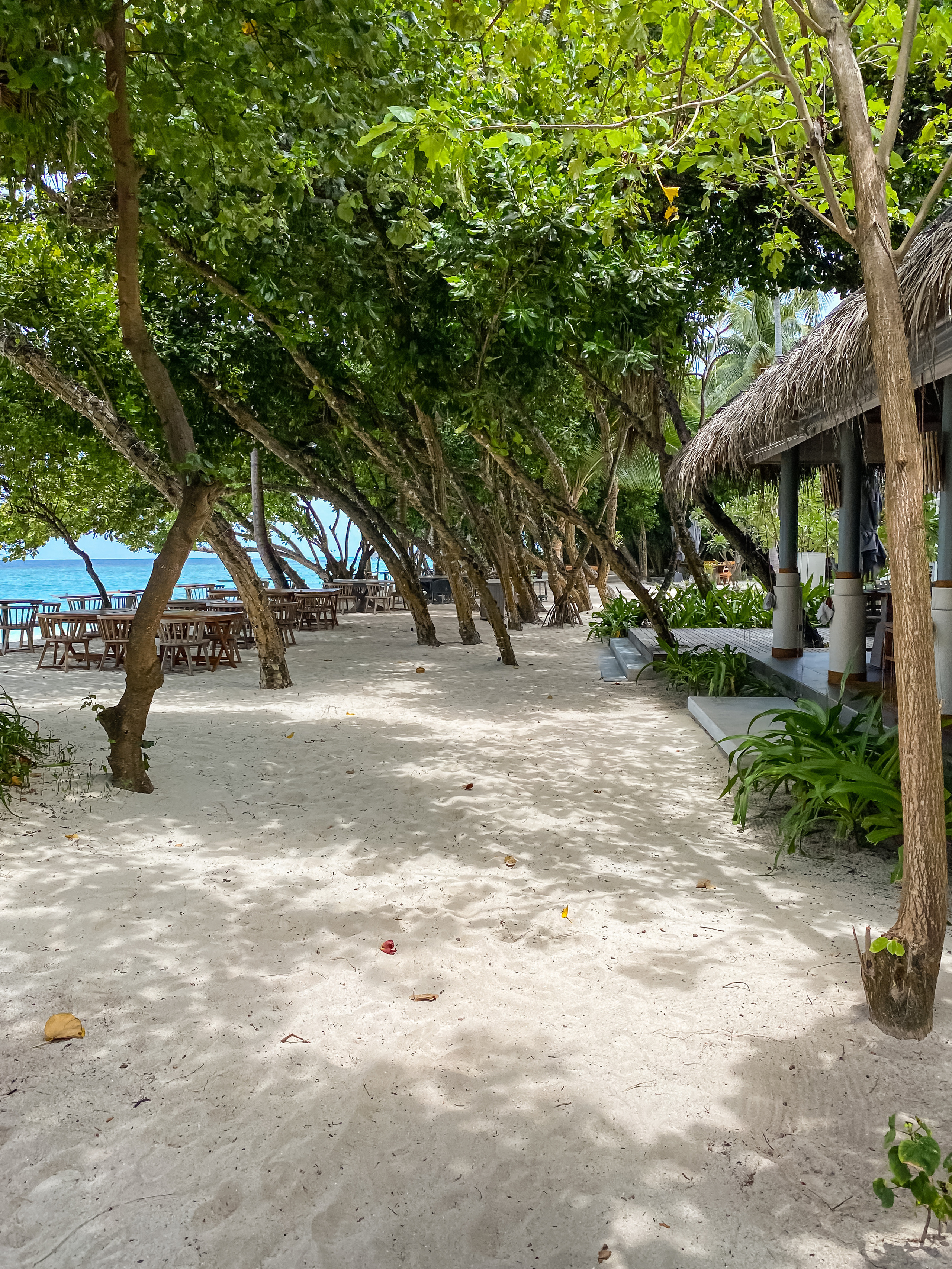 Vakkaru, Maldives. Traveling soul