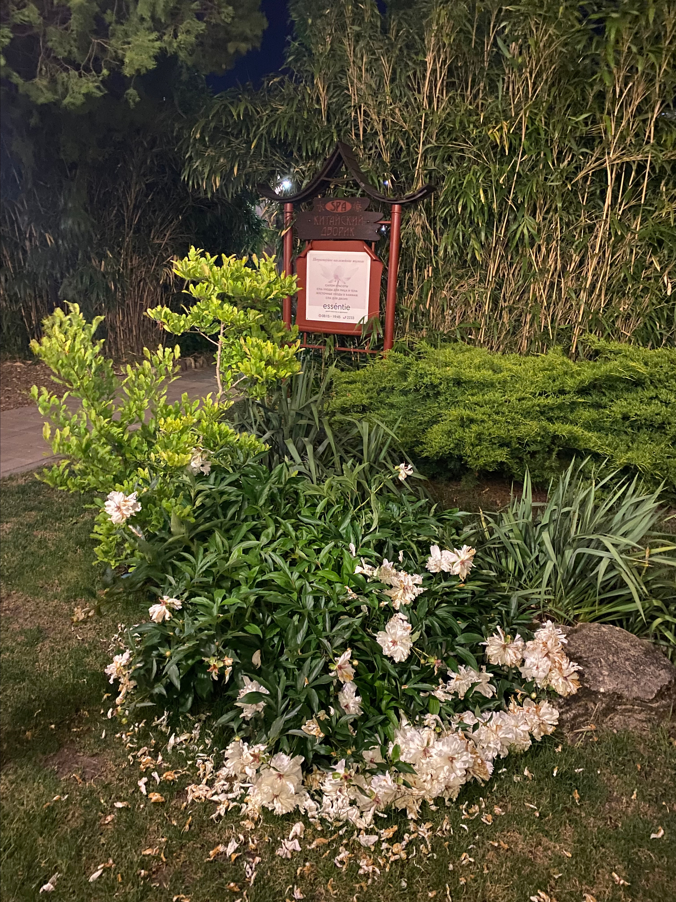 Alean Family Riviera, Anapa, Russia. Traveling soul