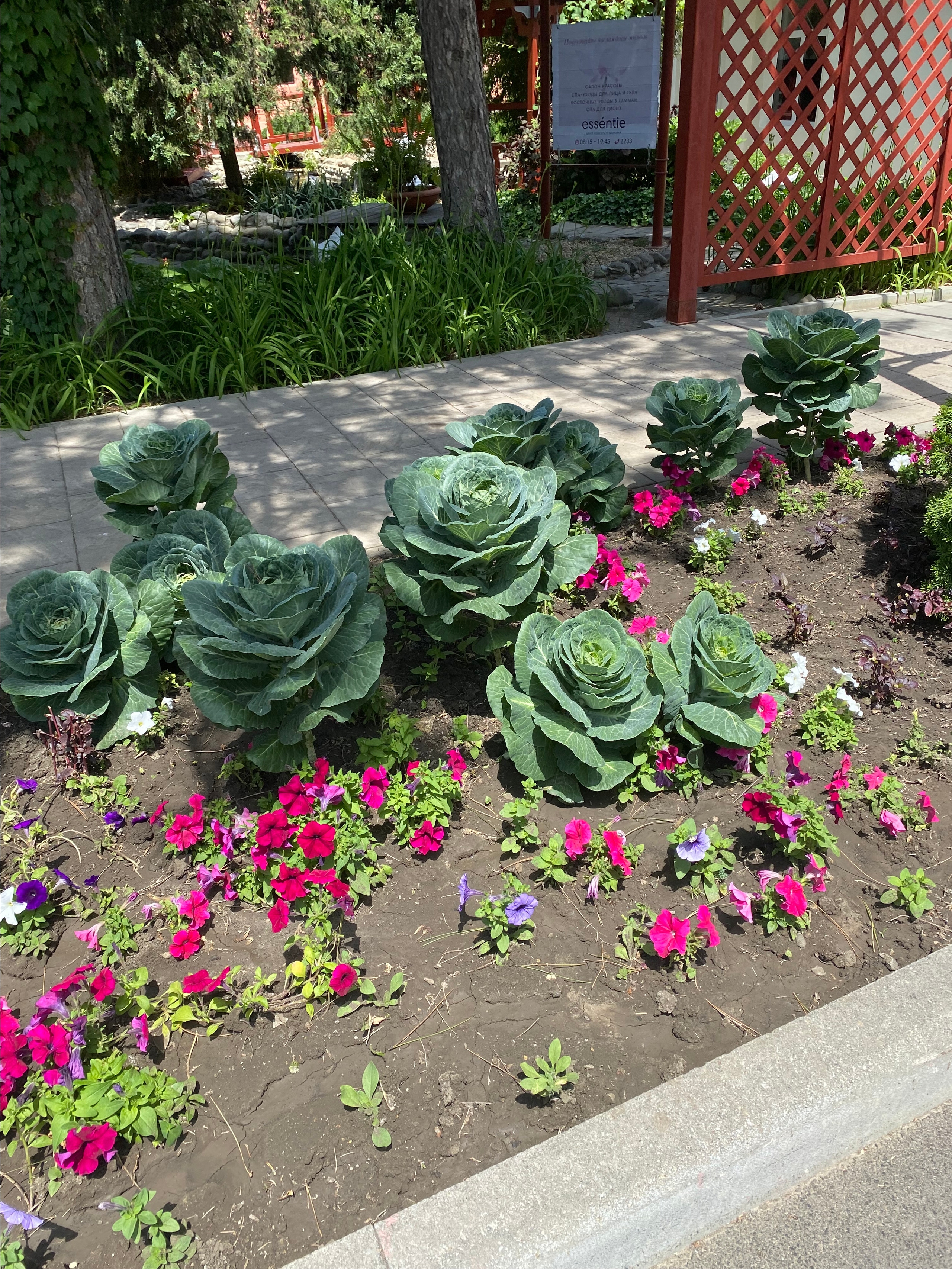 Alean Family Riviera, Anapa, Russia. Traveling soul