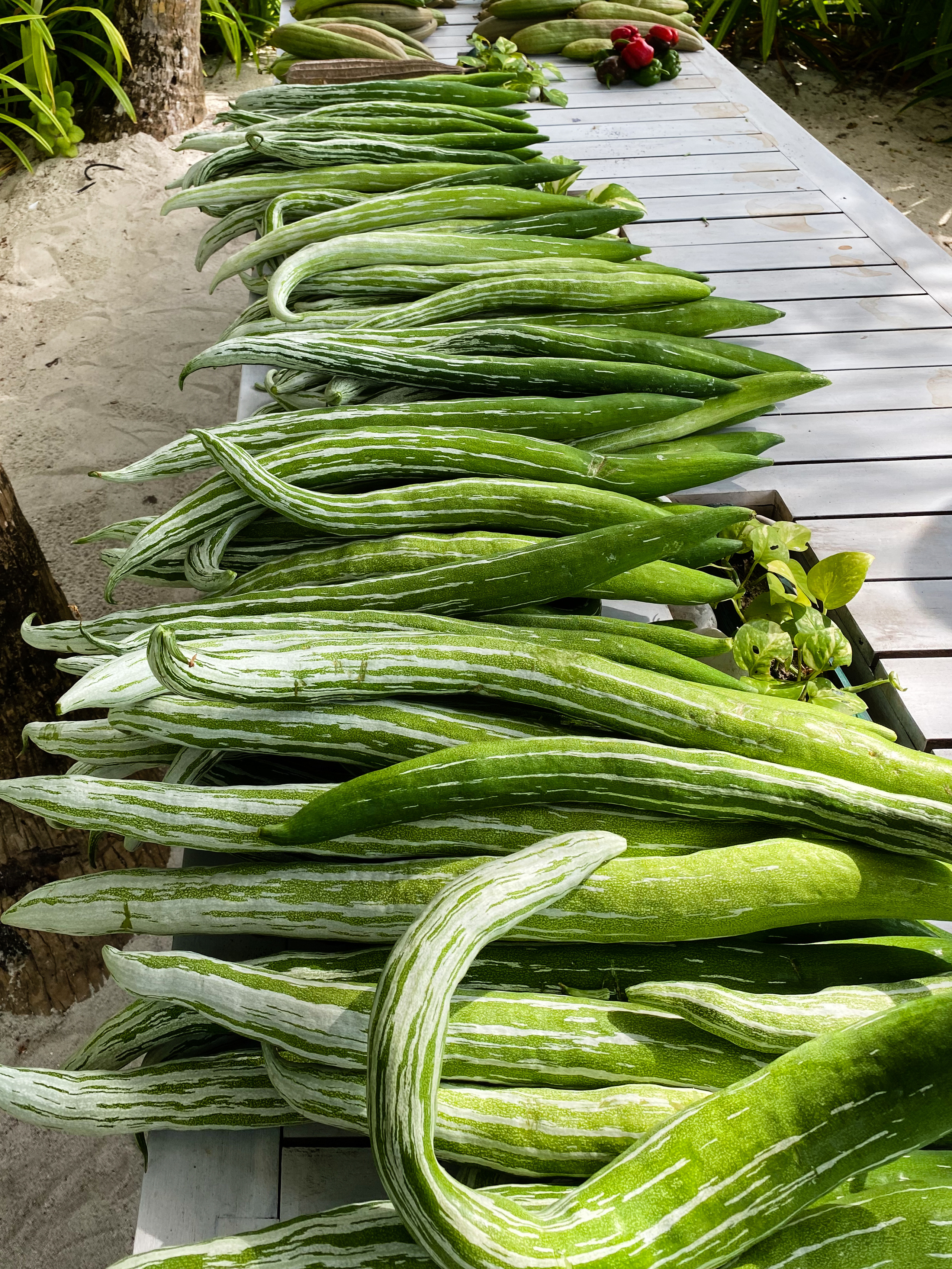 Vakkaru, Maldives. Traveling soul