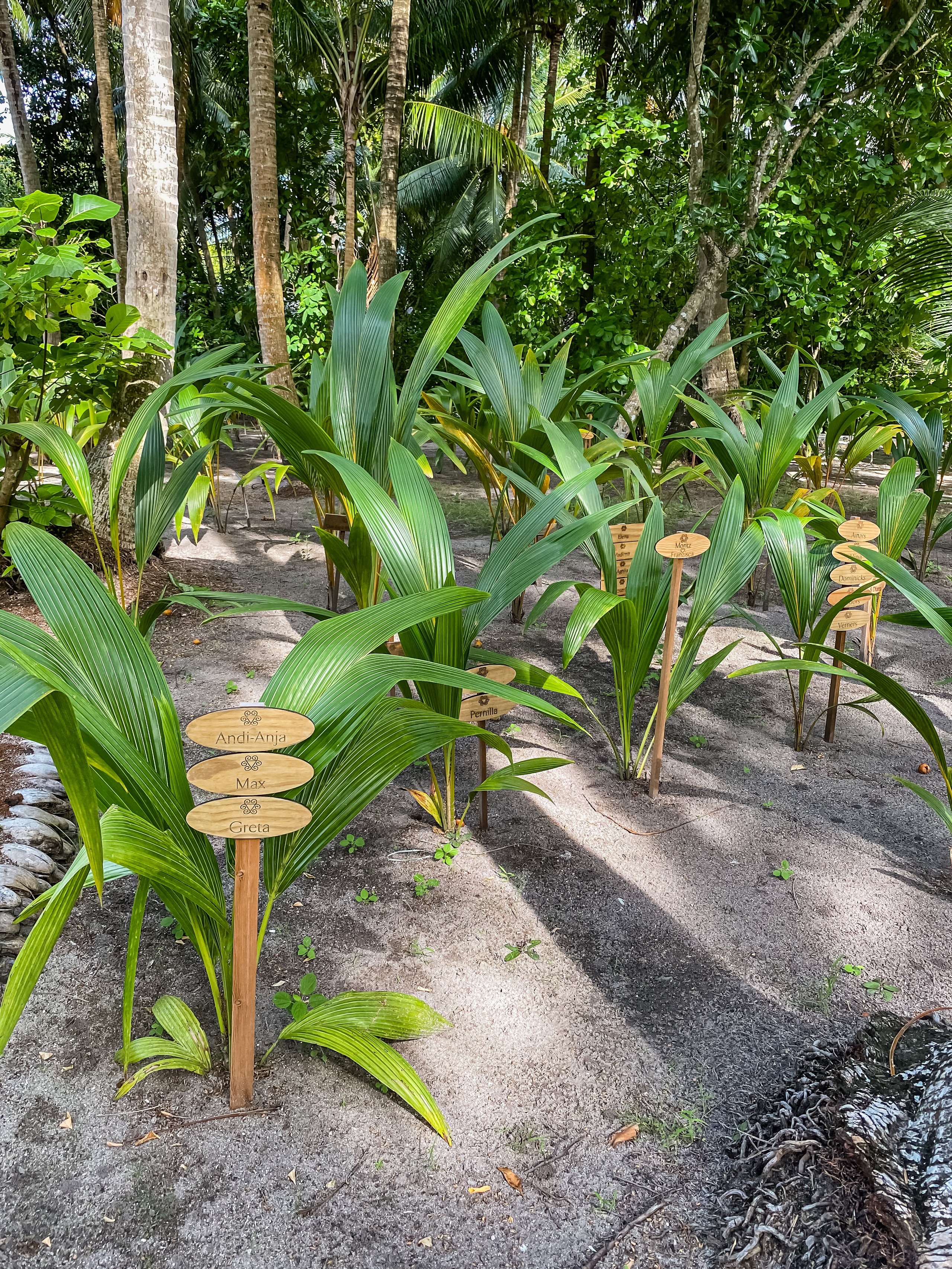 Vakkaru, Maldives. Traveling soul