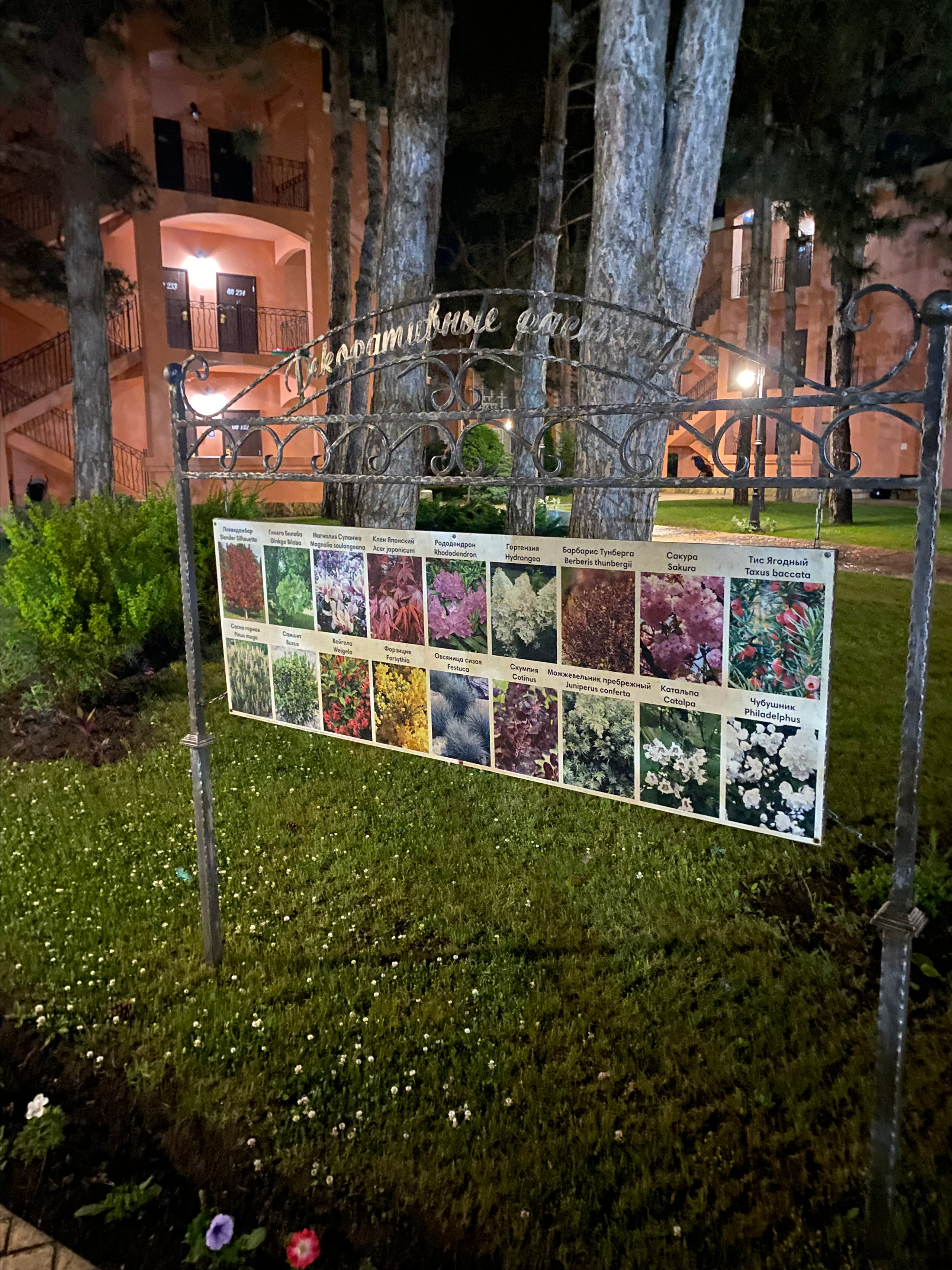 Alean Family Riviera, Anapa, Russia. Traveling soul