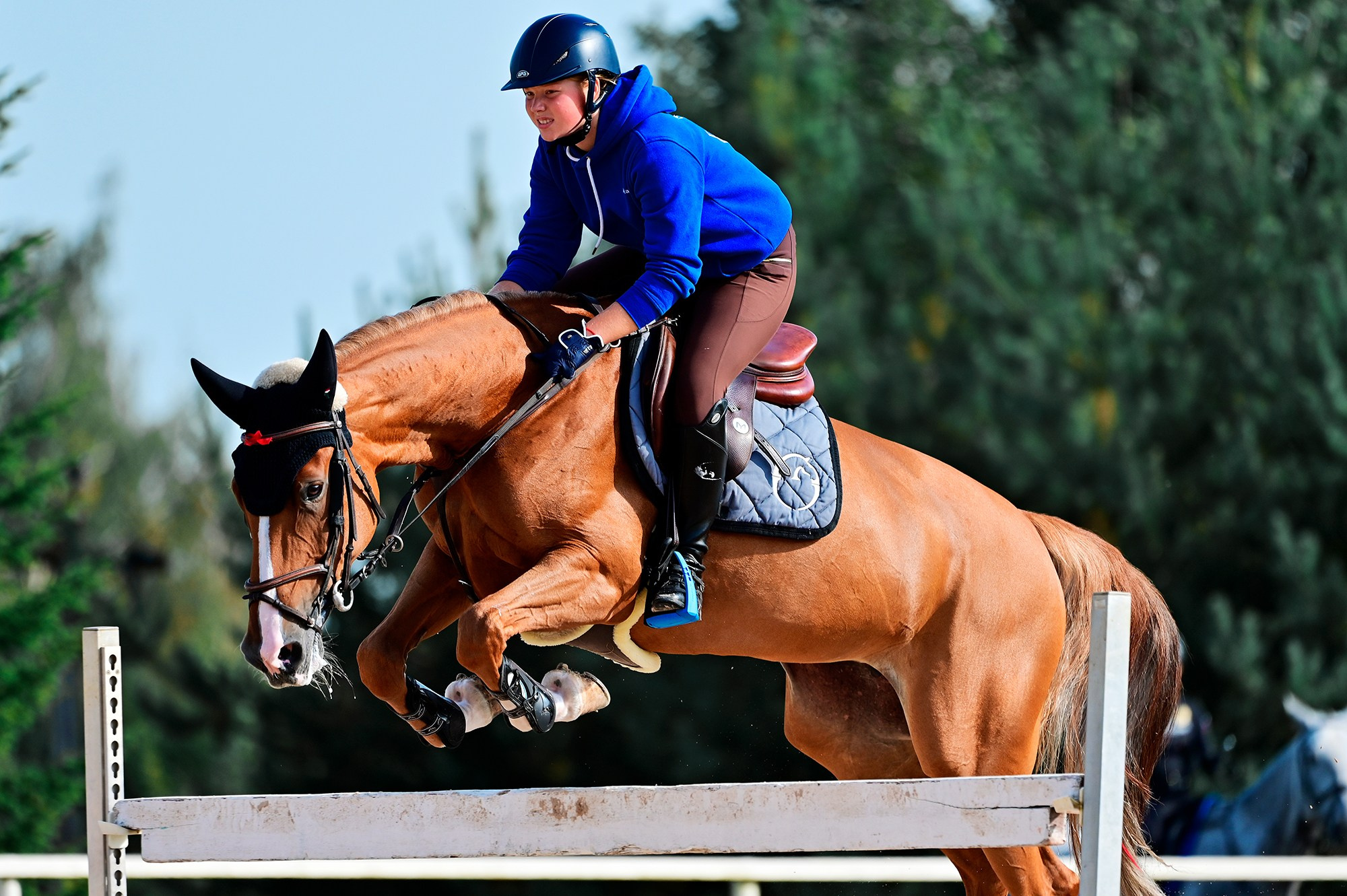 Тренировки. Конный фотограф Alesya Safe