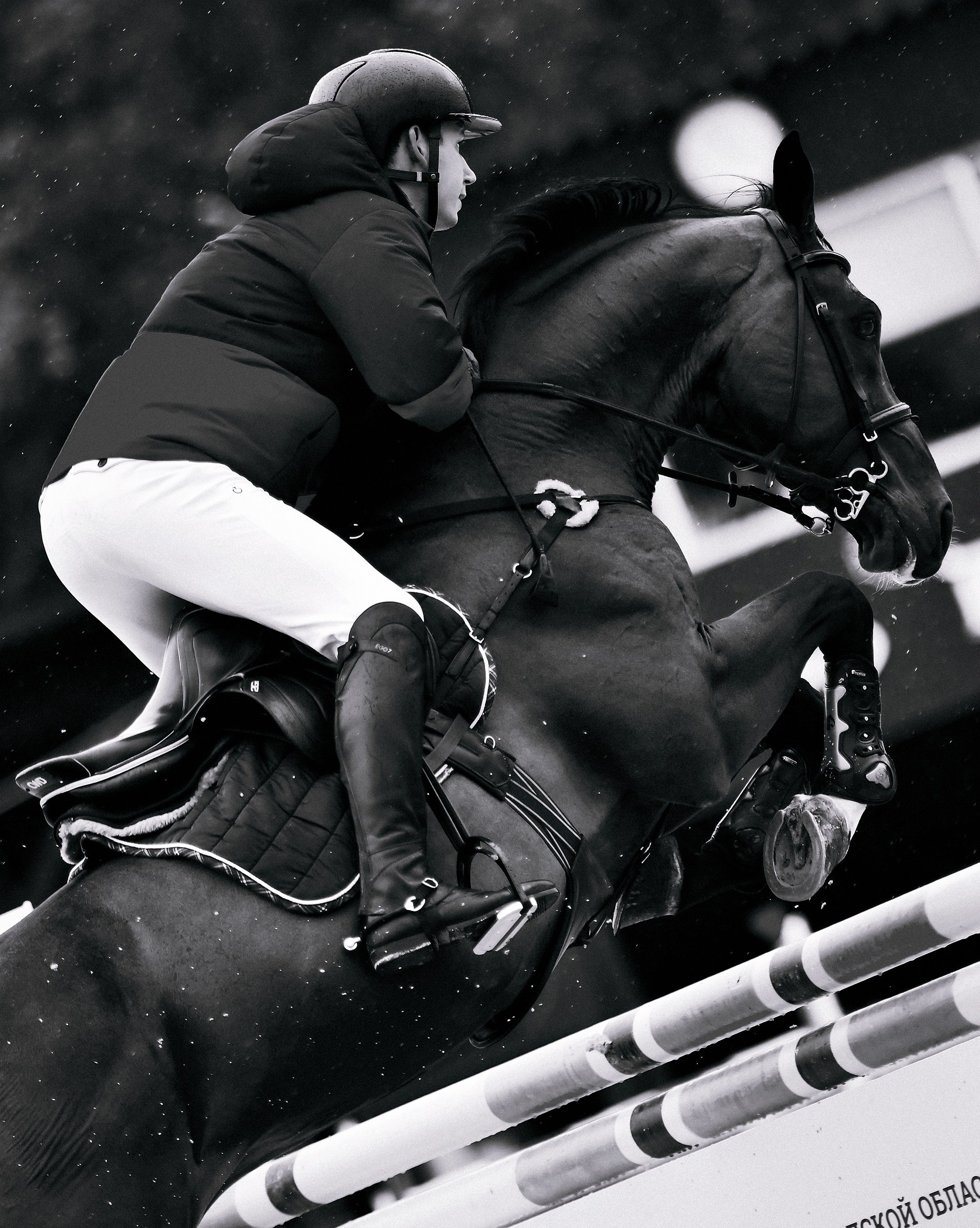 Конкур. Конный фотограф Alesya Safe