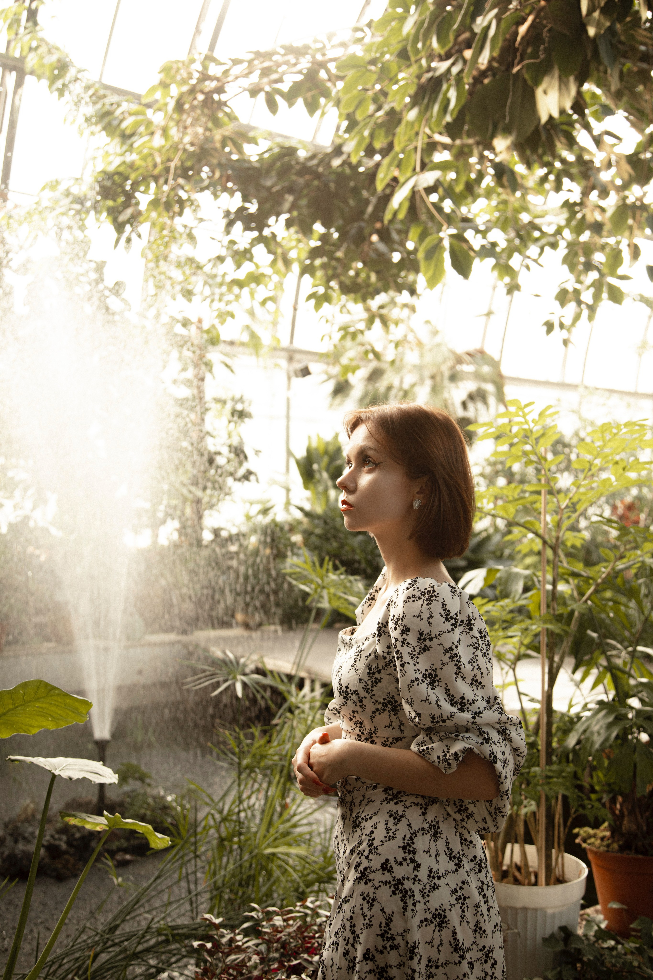 Оранжерея Таврического сада