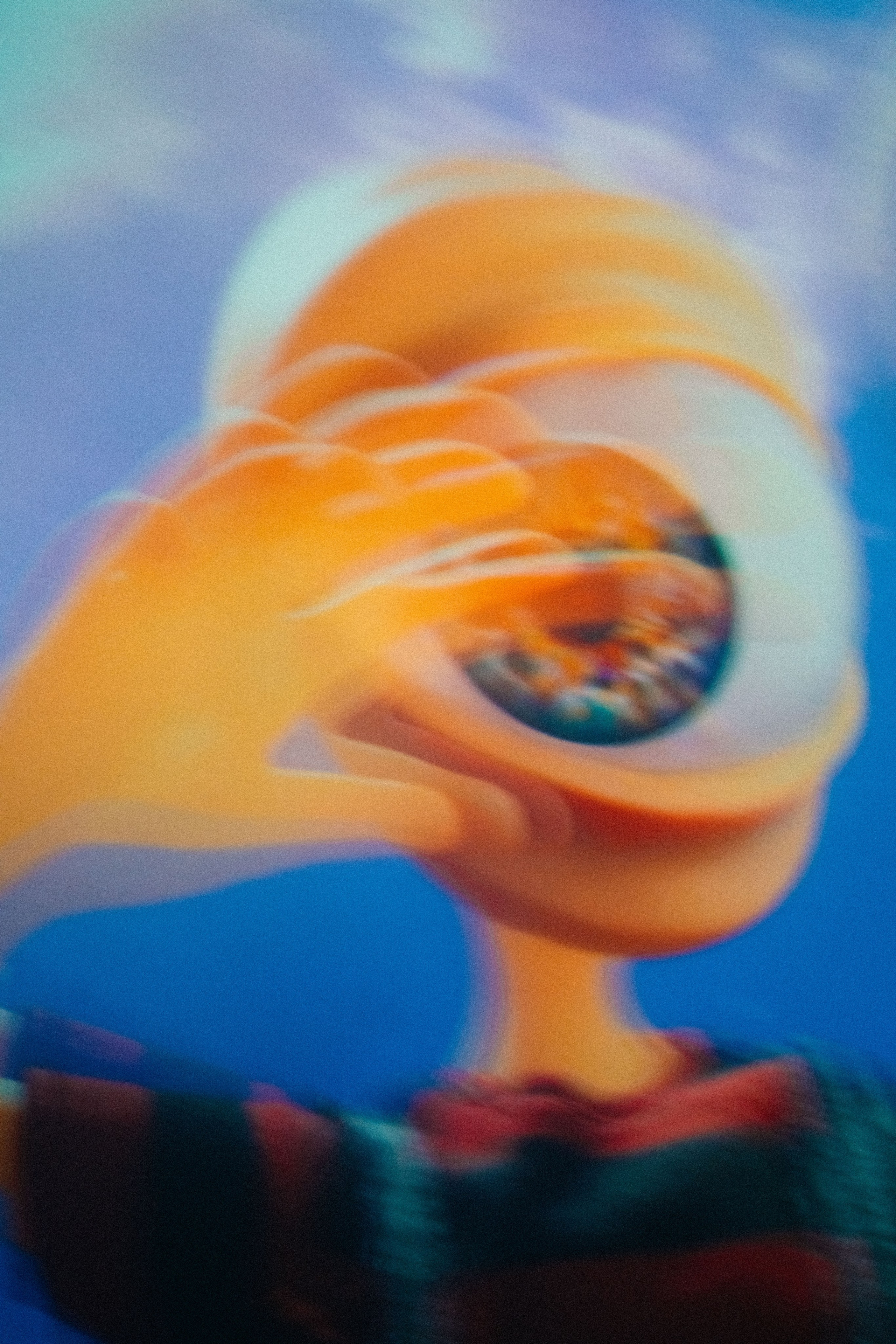 INTERVALS / 2025. Саша Копылов, фотограф в Казани