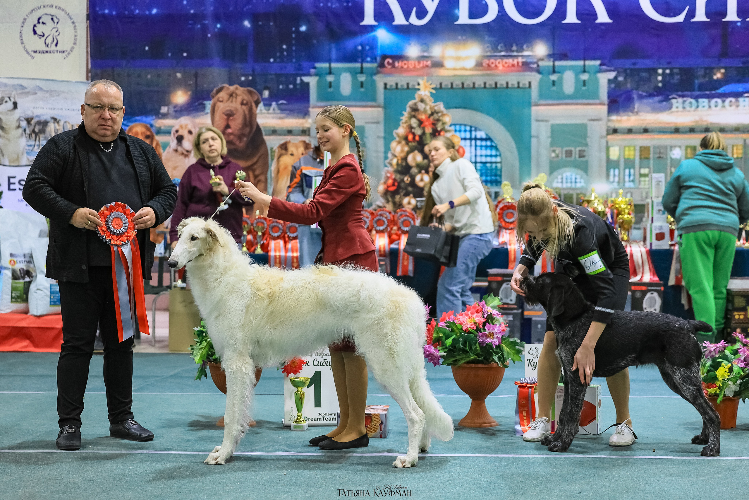 6-7.12.25 — 1-4 Национальные выставки собак в Новосибирске (2х рейтинговые). Фотограф Анималист из Новосибирска Татьяна Кауфман
