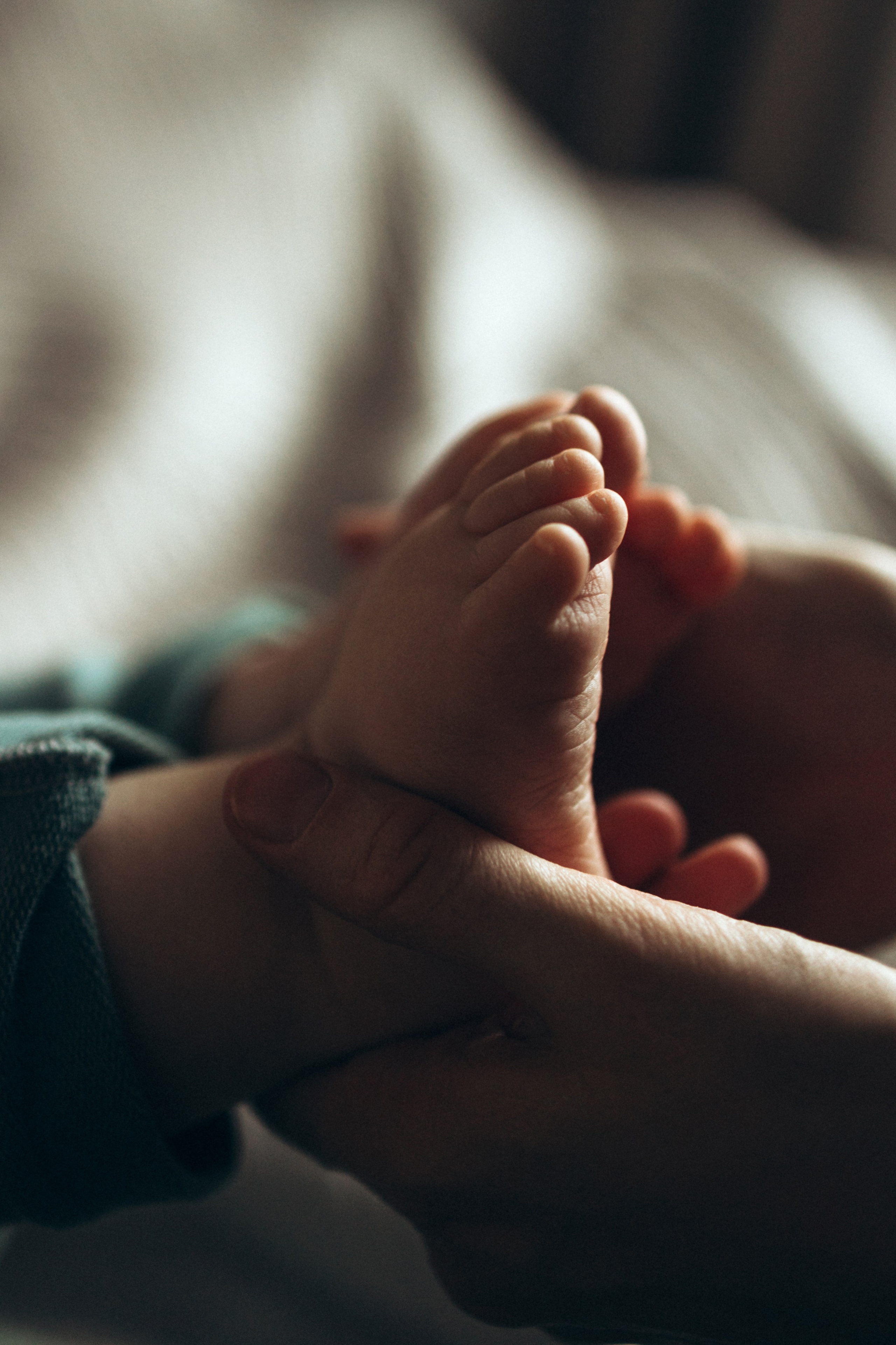 1 годик. Фотограф Валерия Ковпак. Москва. Химки. Куркино