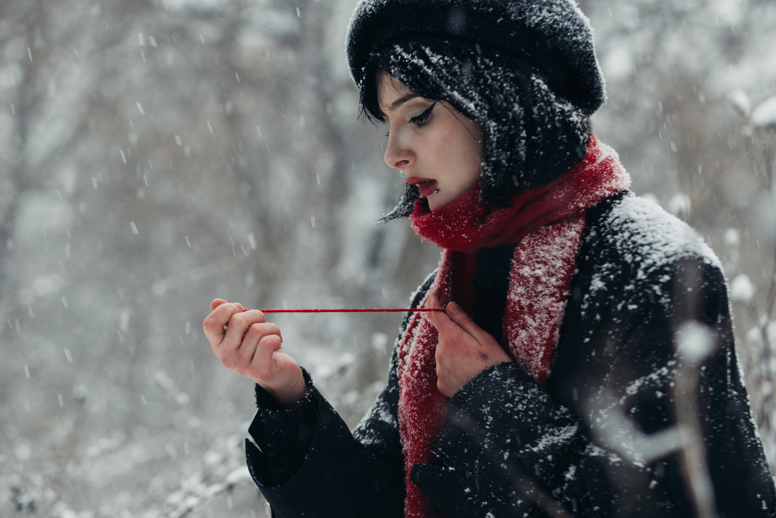 Снег и Красный. Главная