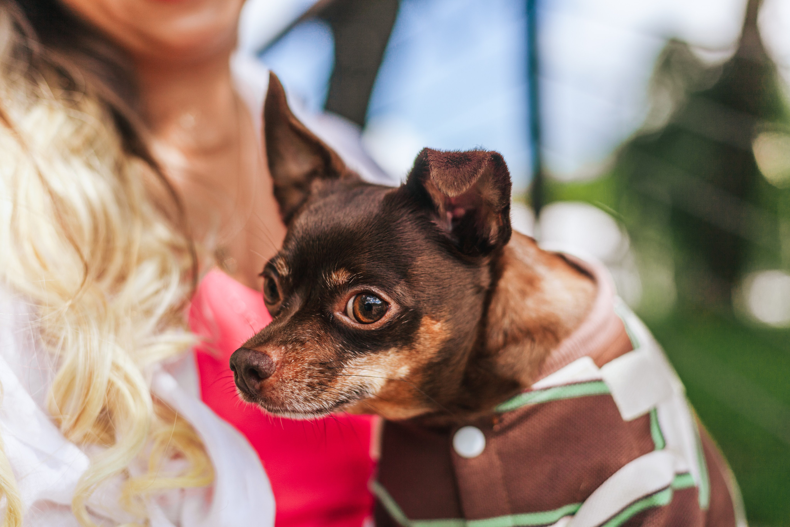 Восточный мост. Фотограф-анималист Татьяна Степанова
