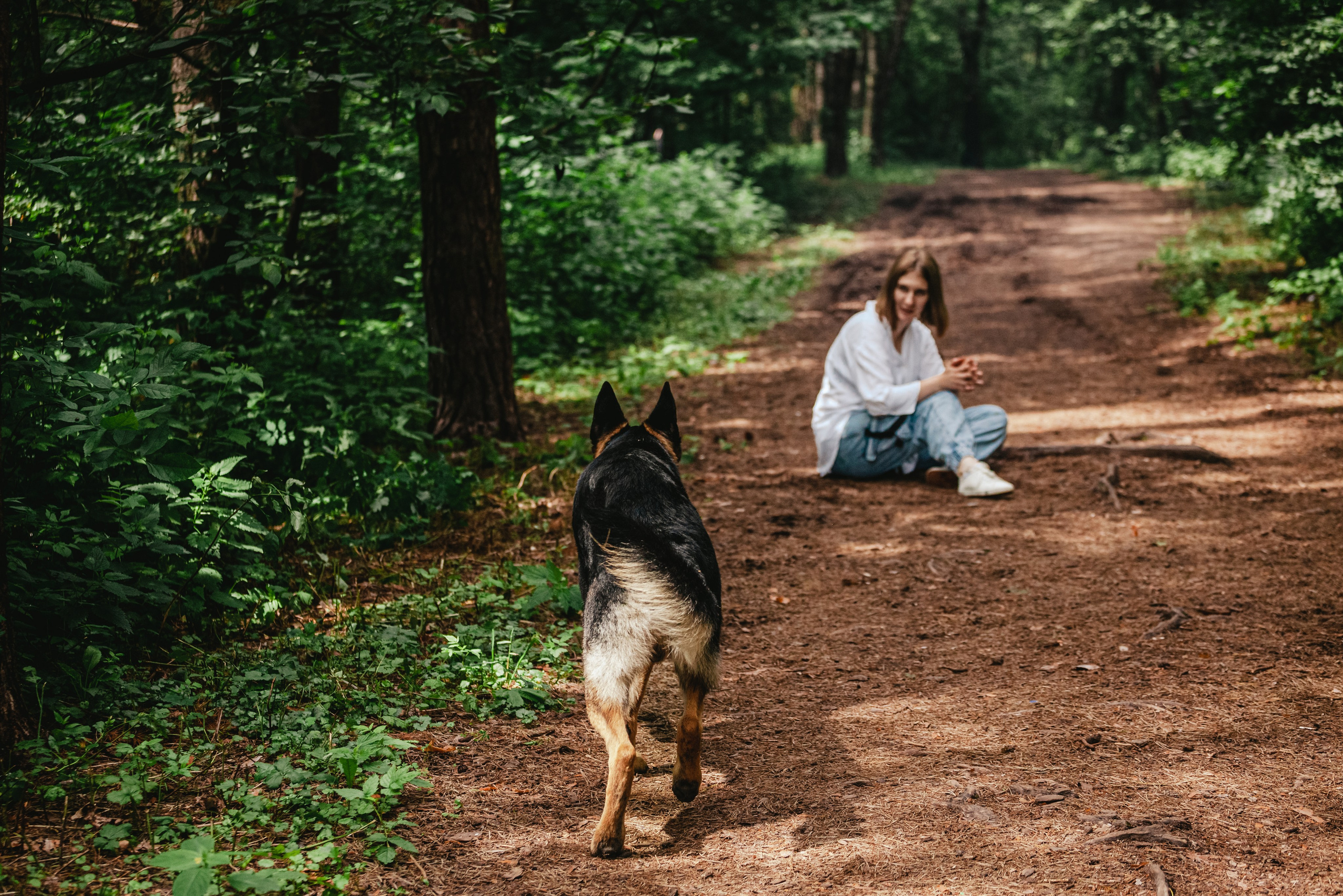 Лесная летняя фотопрогулка. Фотограф-анималист Татьяна Степанова