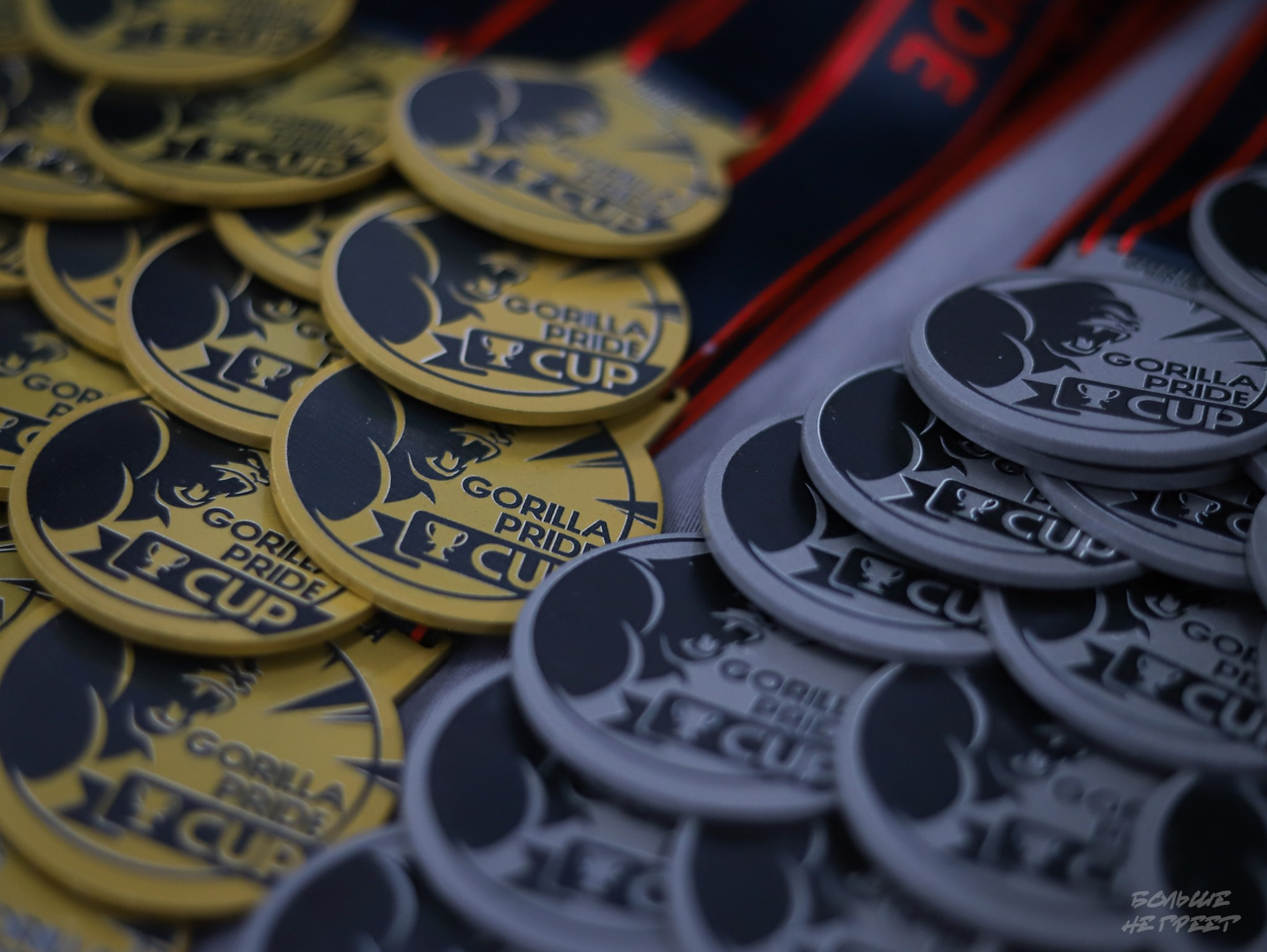 GORILLA PRIDE CUP. Больше не греет