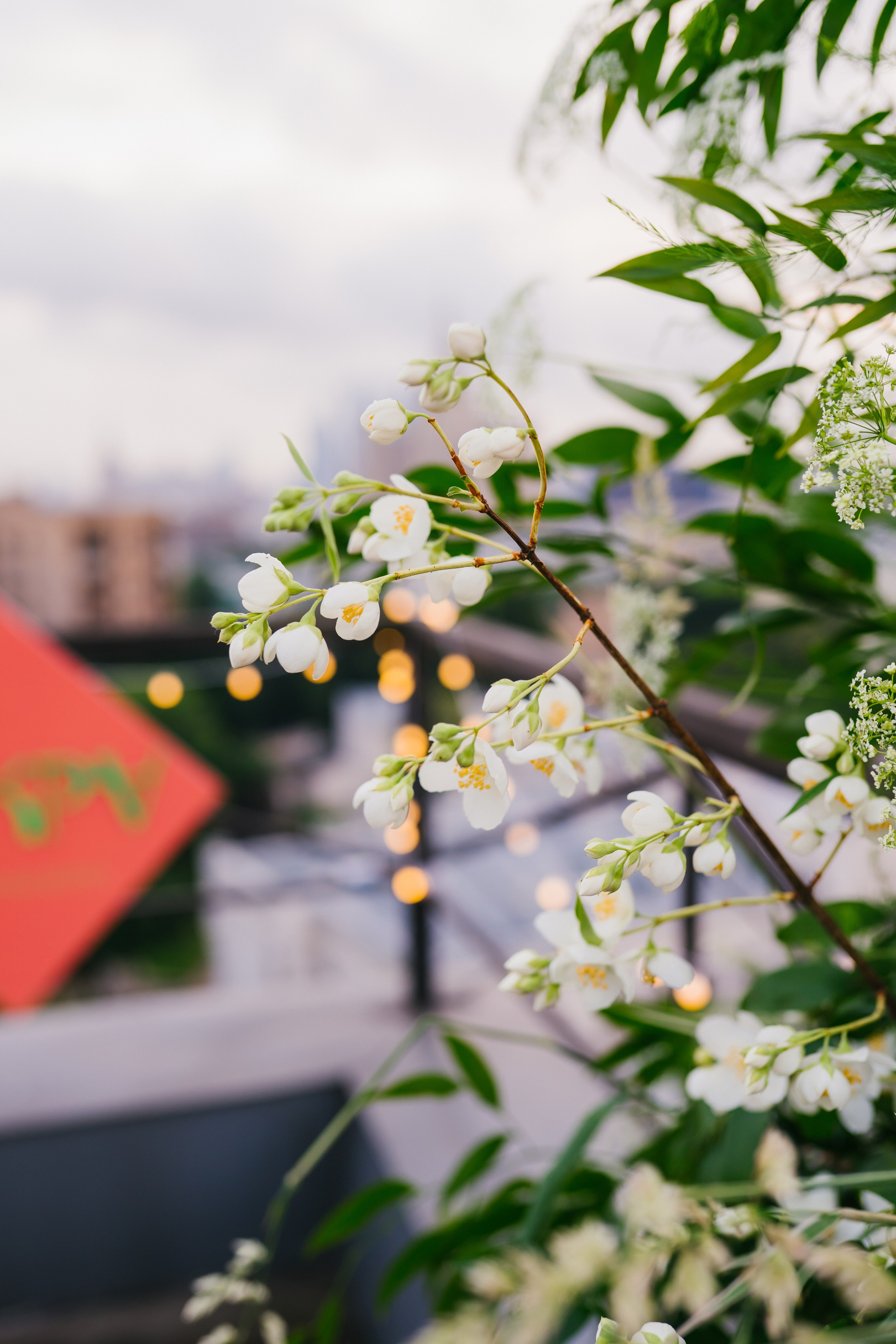 Репортаж мероприятия. Фотограф в Москве Оксана Симонова