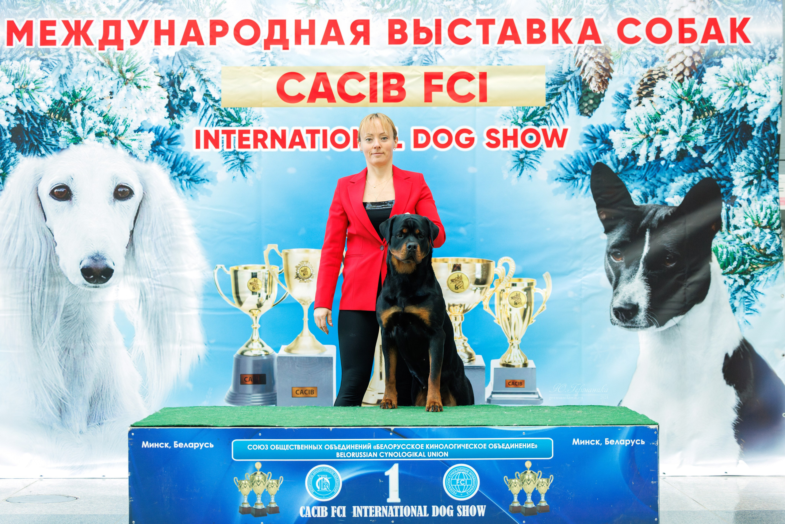 Минск 23.11.2024. Фотограф-анималист Юлия Германика