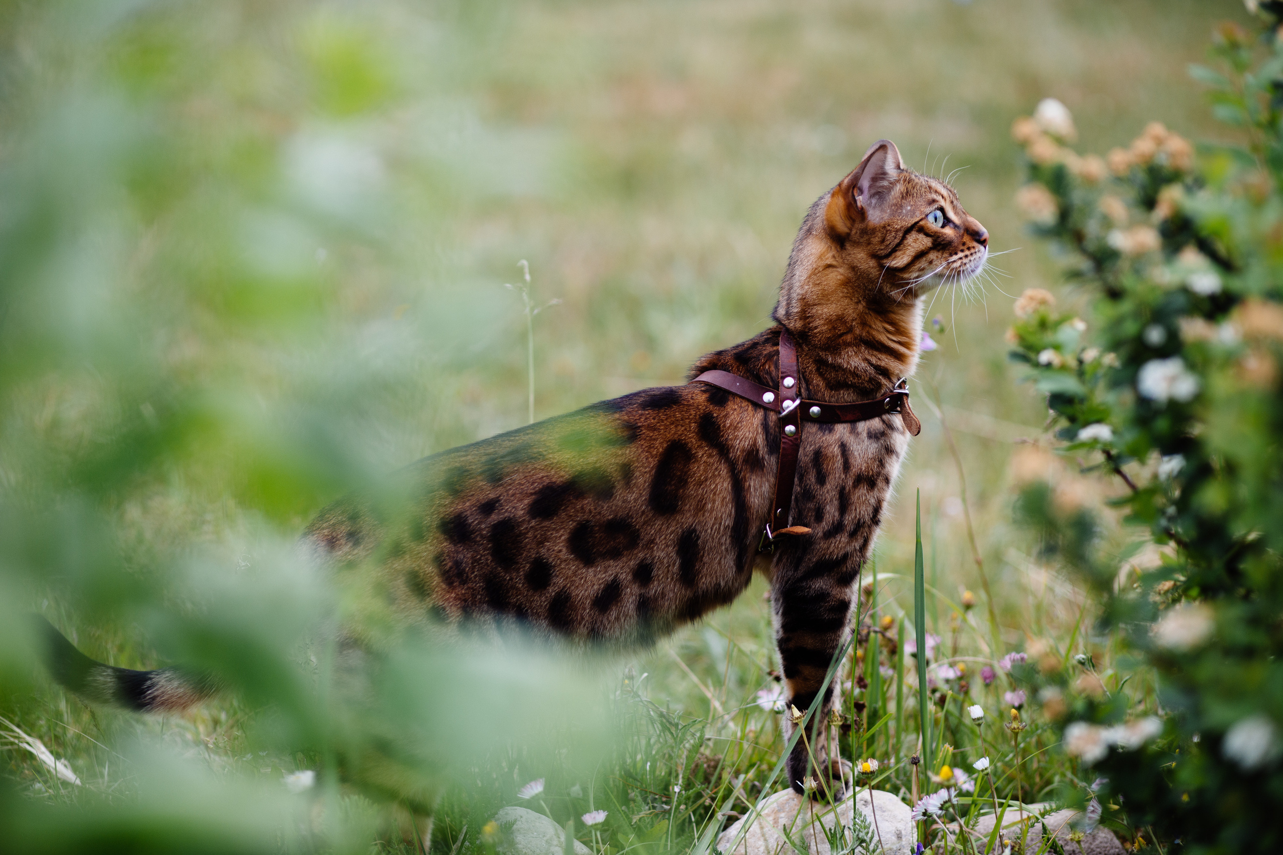 Мысли вслух. Детский, семейный и школьный фотограф Смоленск Москва Влад Старов