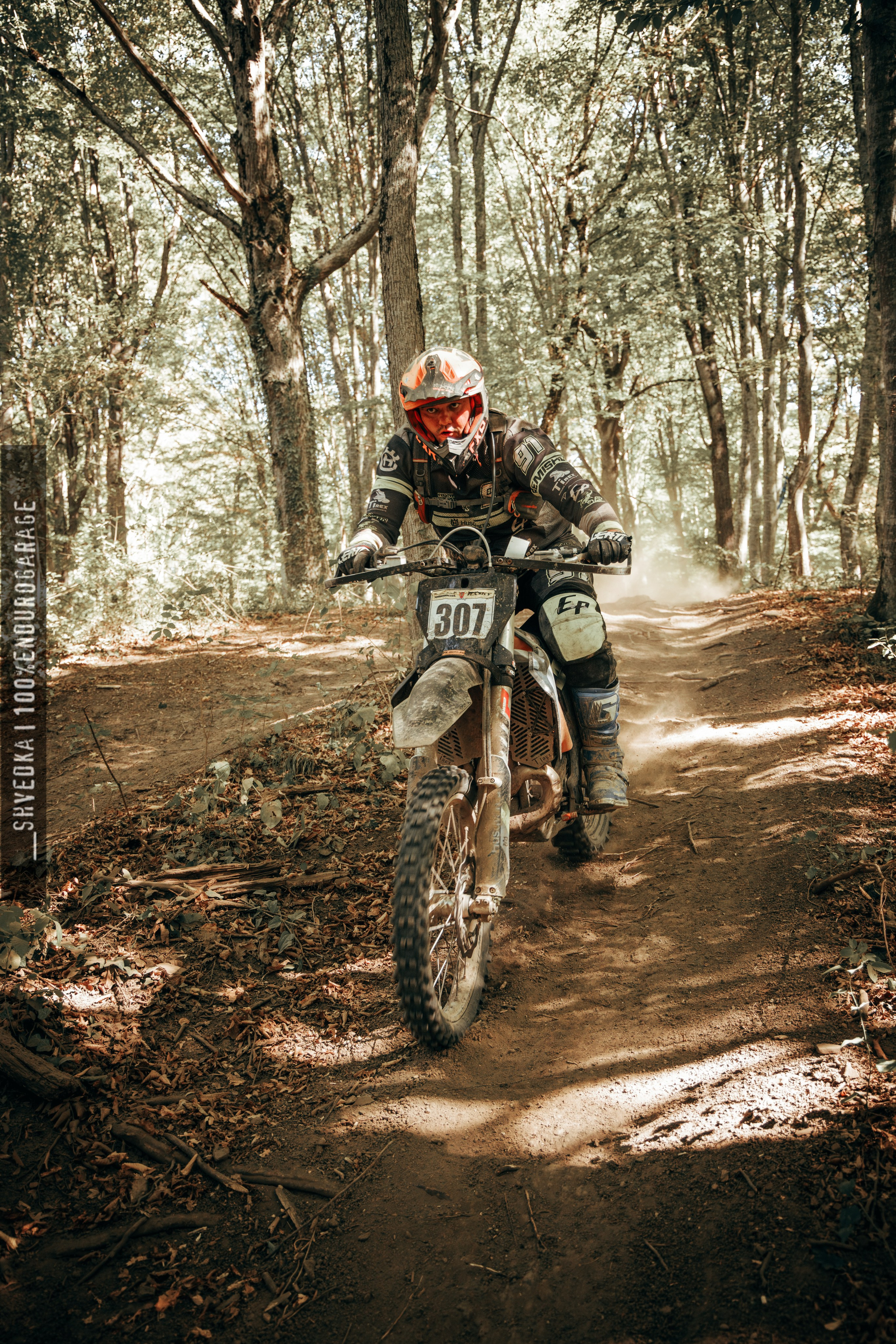 2 лесной день. Ваш экстрим фотограф Кудрева Яна