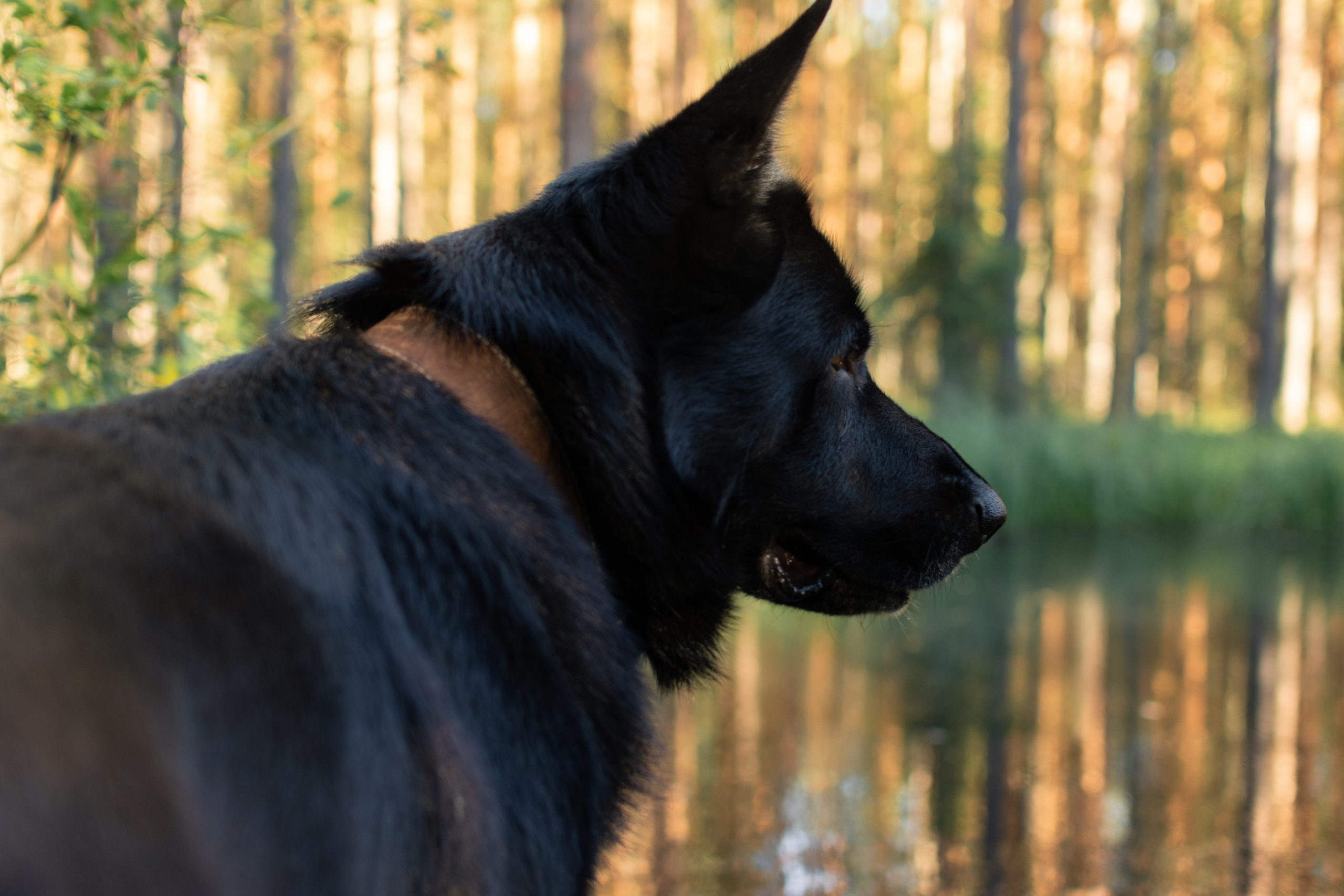 Светлана. Портретный и репортажный Фотограф в Москве Александра Комарницкая