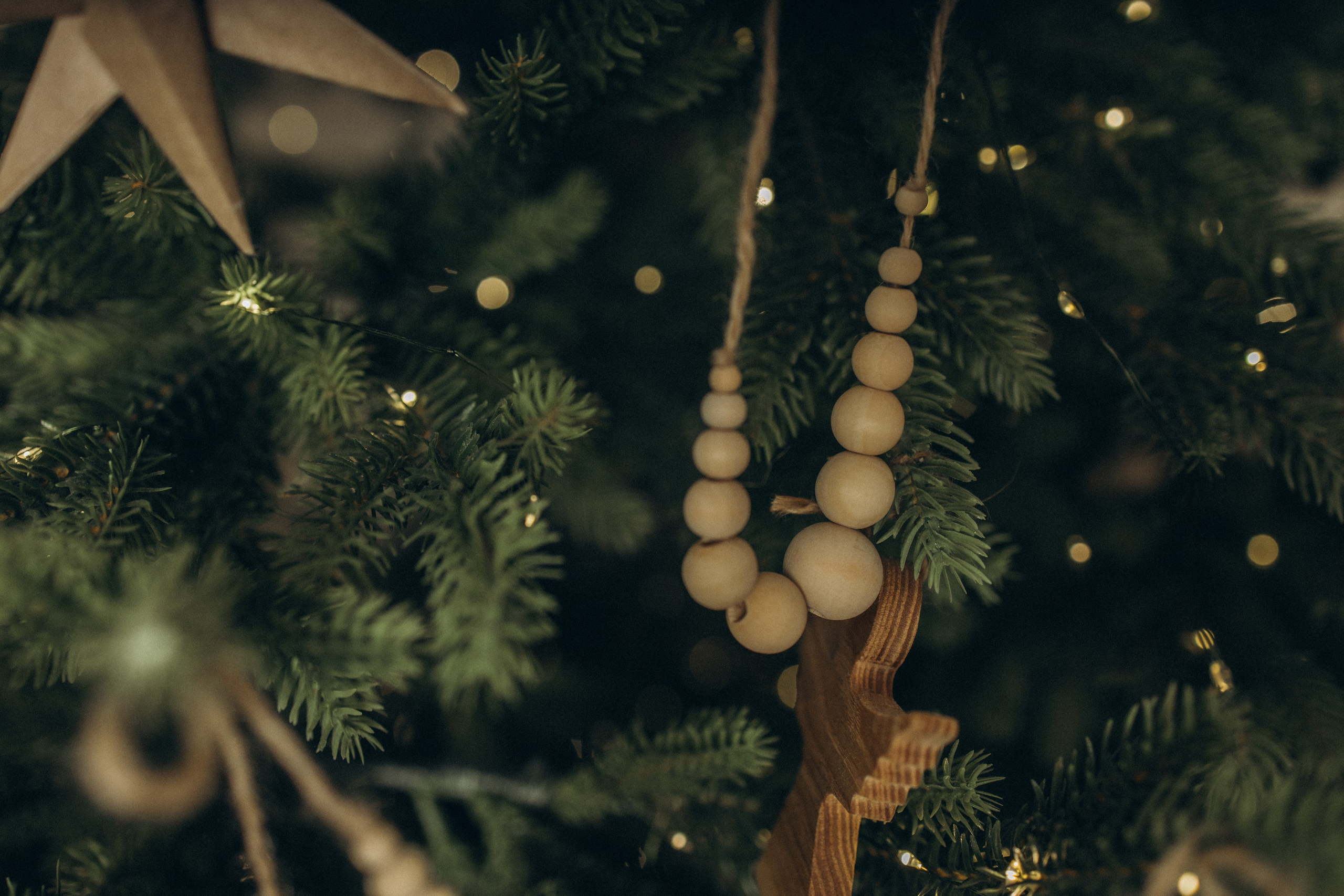 Максим & Лера & Марк 🎄✨. Семейный фотограф в Санкт-Петербурге Виктория Безгузова
