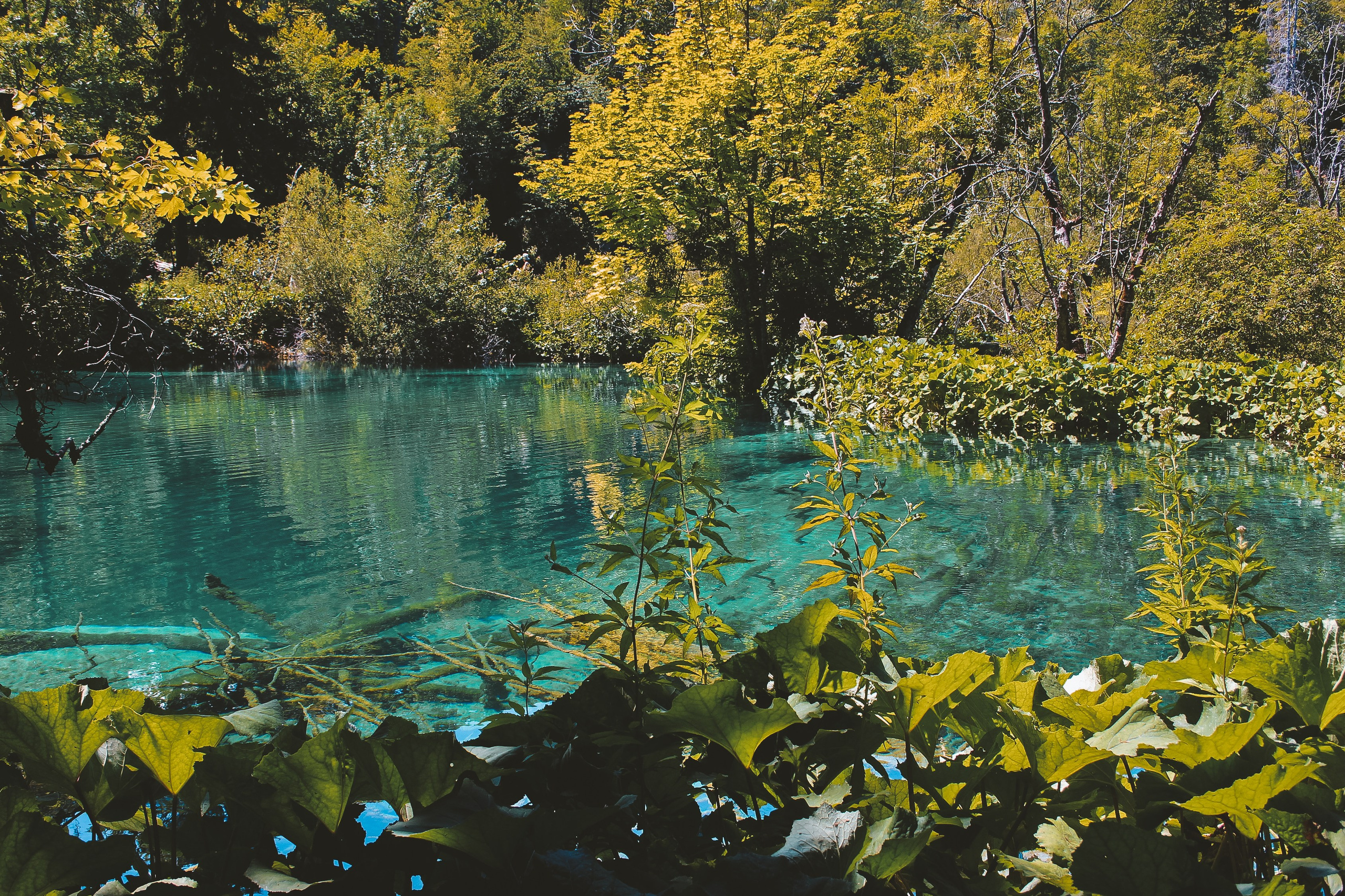 Хорватия: Плитвицкие озера. Дарья Письменюк / Darya Leitstern — фотограф, музыкант, журналист, путешественник