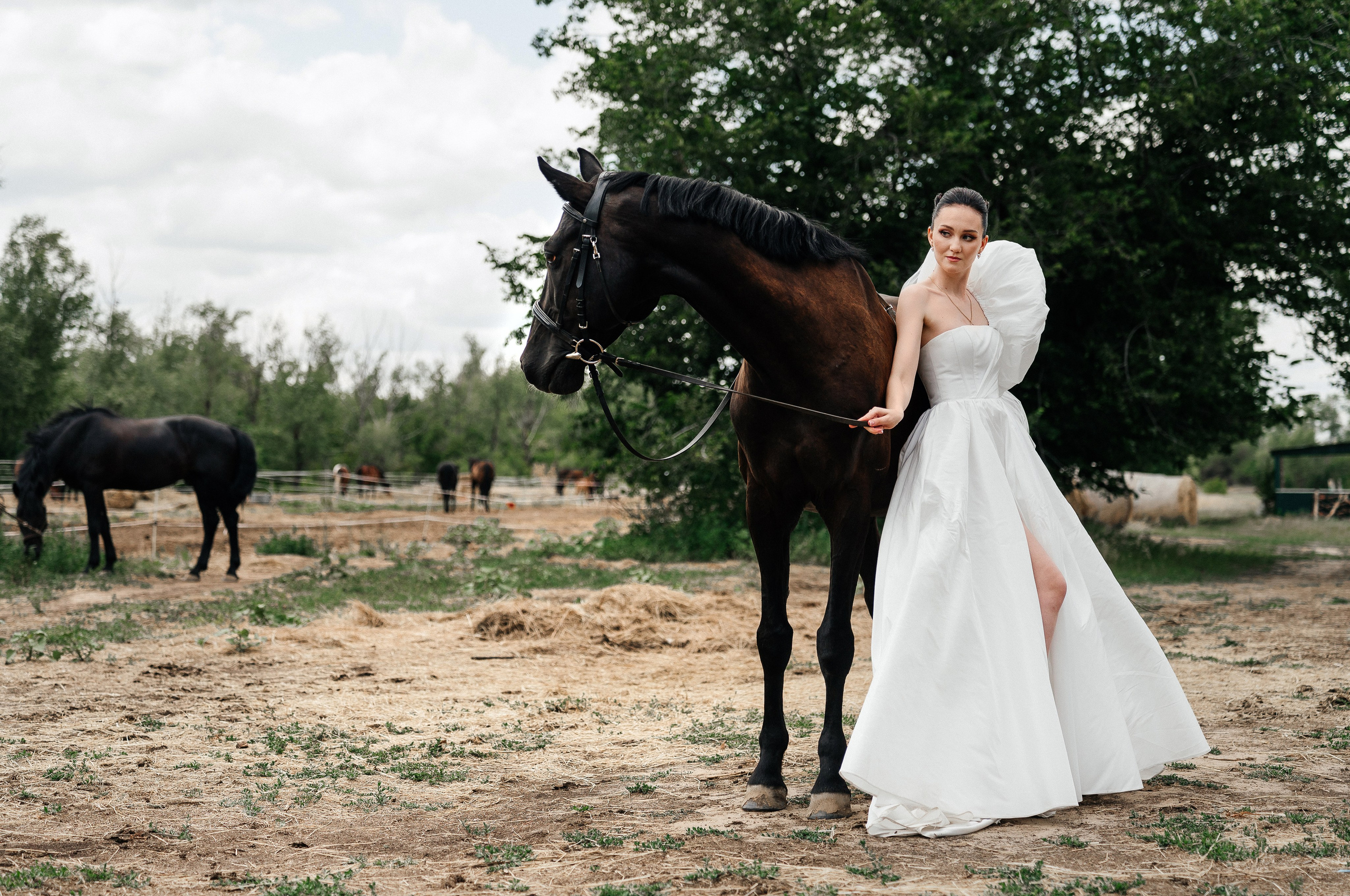Анонс 21-06-25. Свадебный и travel фотограф в Волгограде, Сочи, Домбае, Европе
