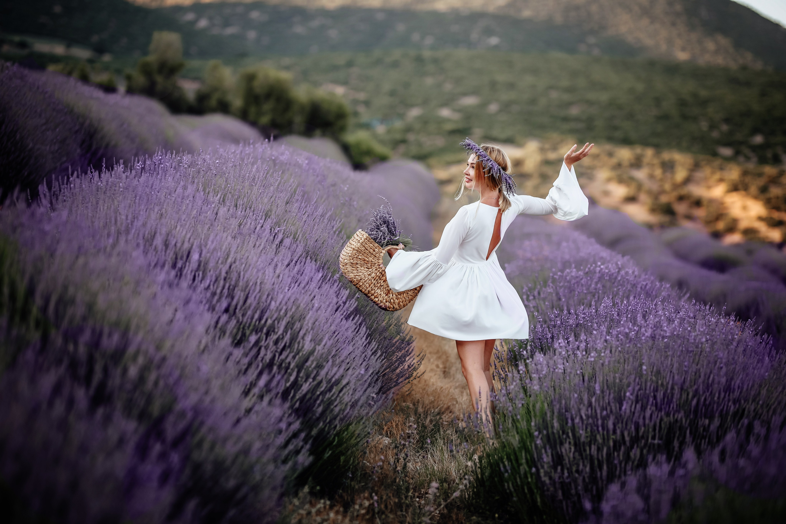 Lavender fields in Turkey