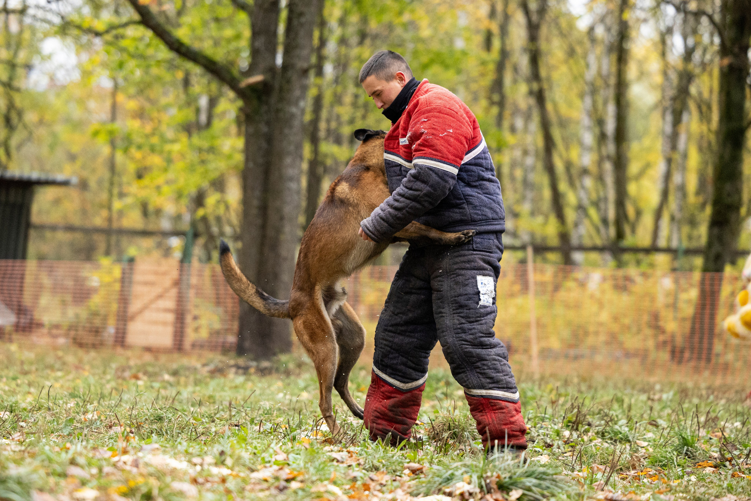 Соревнования по Мондьорингу г. Вологда. Фотограф-анималист Анна Маринич