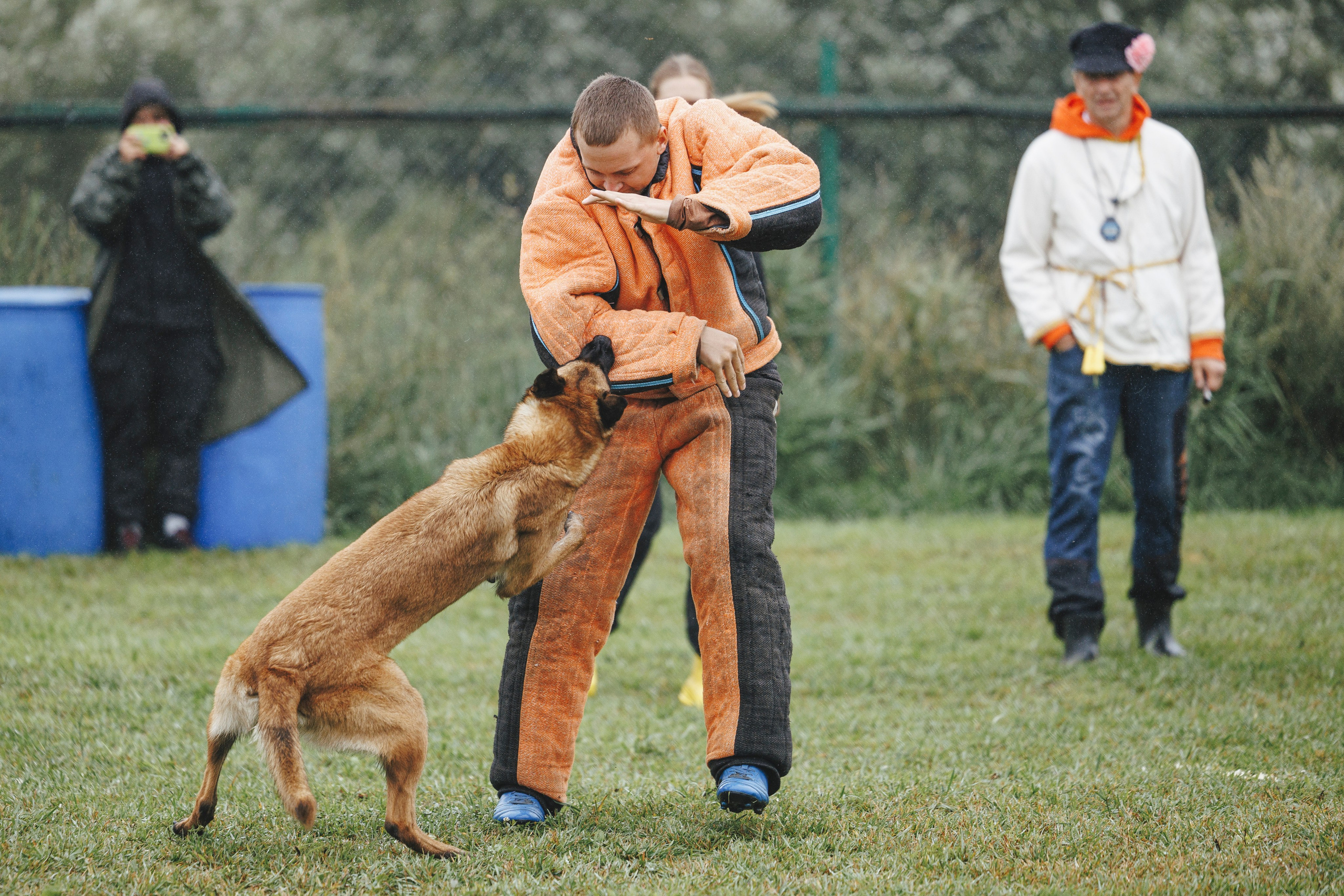 08.08.25-10.08.25 ЧР по мондьорингу г. Вологда. Фотограф-анималист Анна Маринич