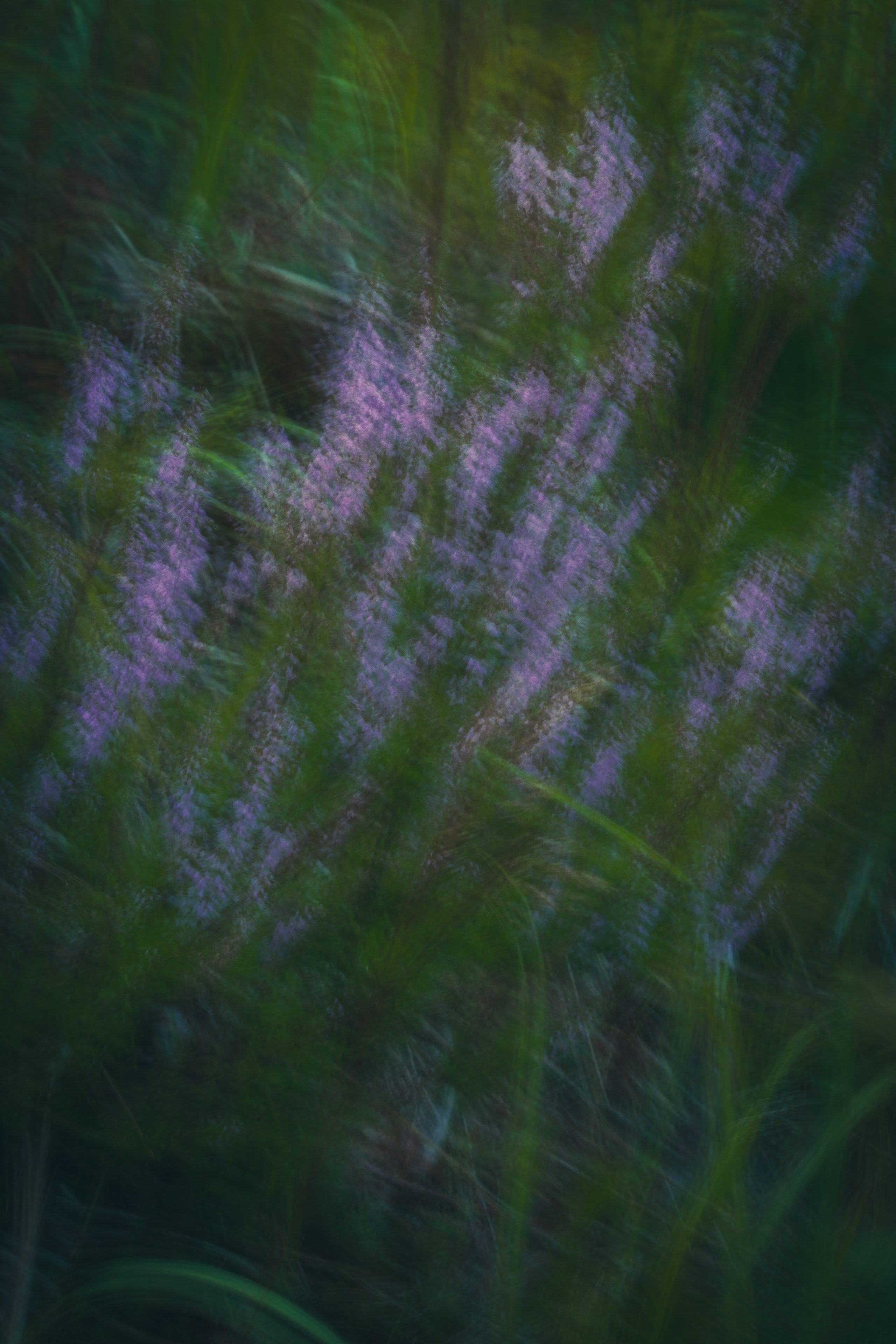 Природа &. Фотохудожник в СПб