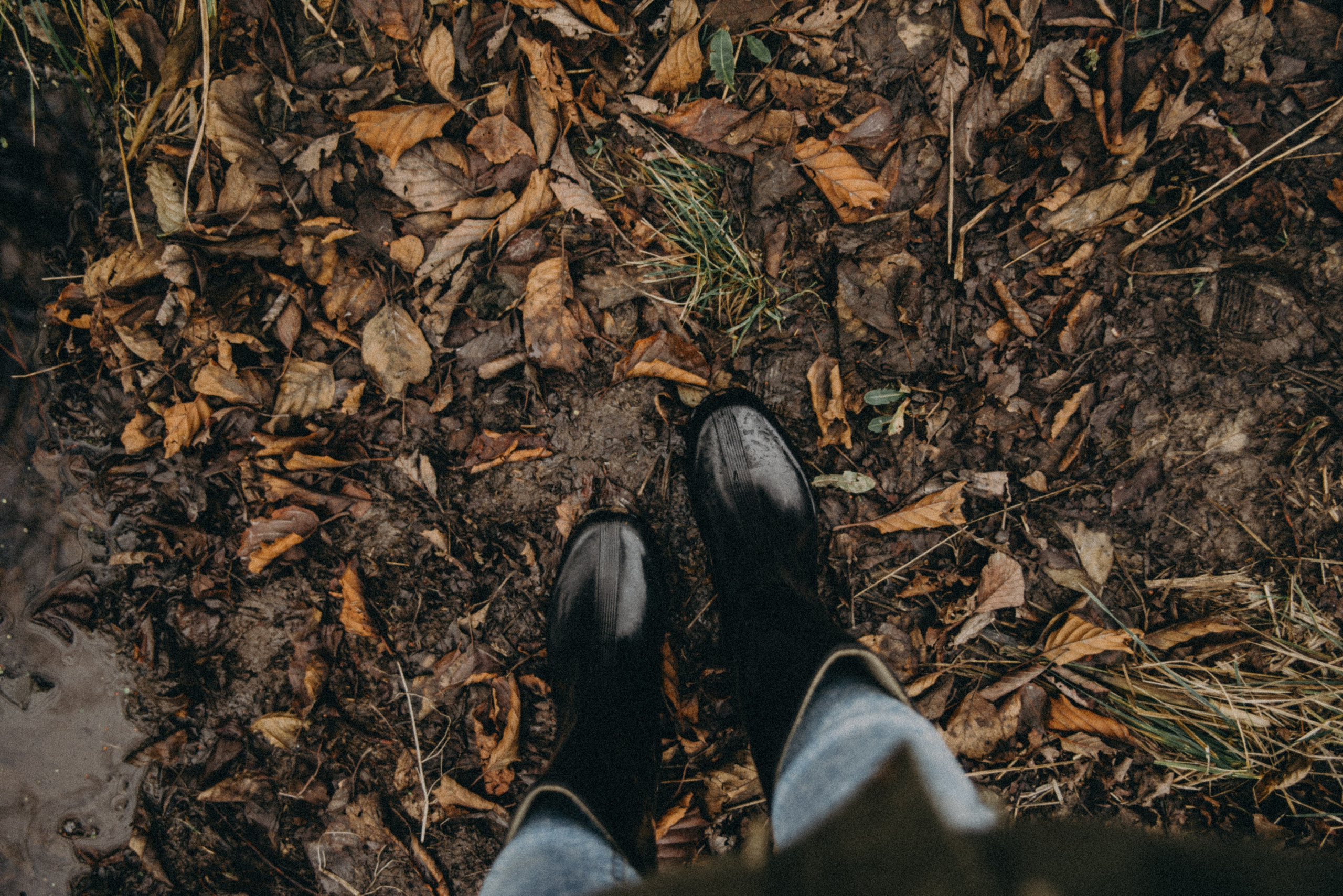 Ельня, Беларусь. Anita_photo