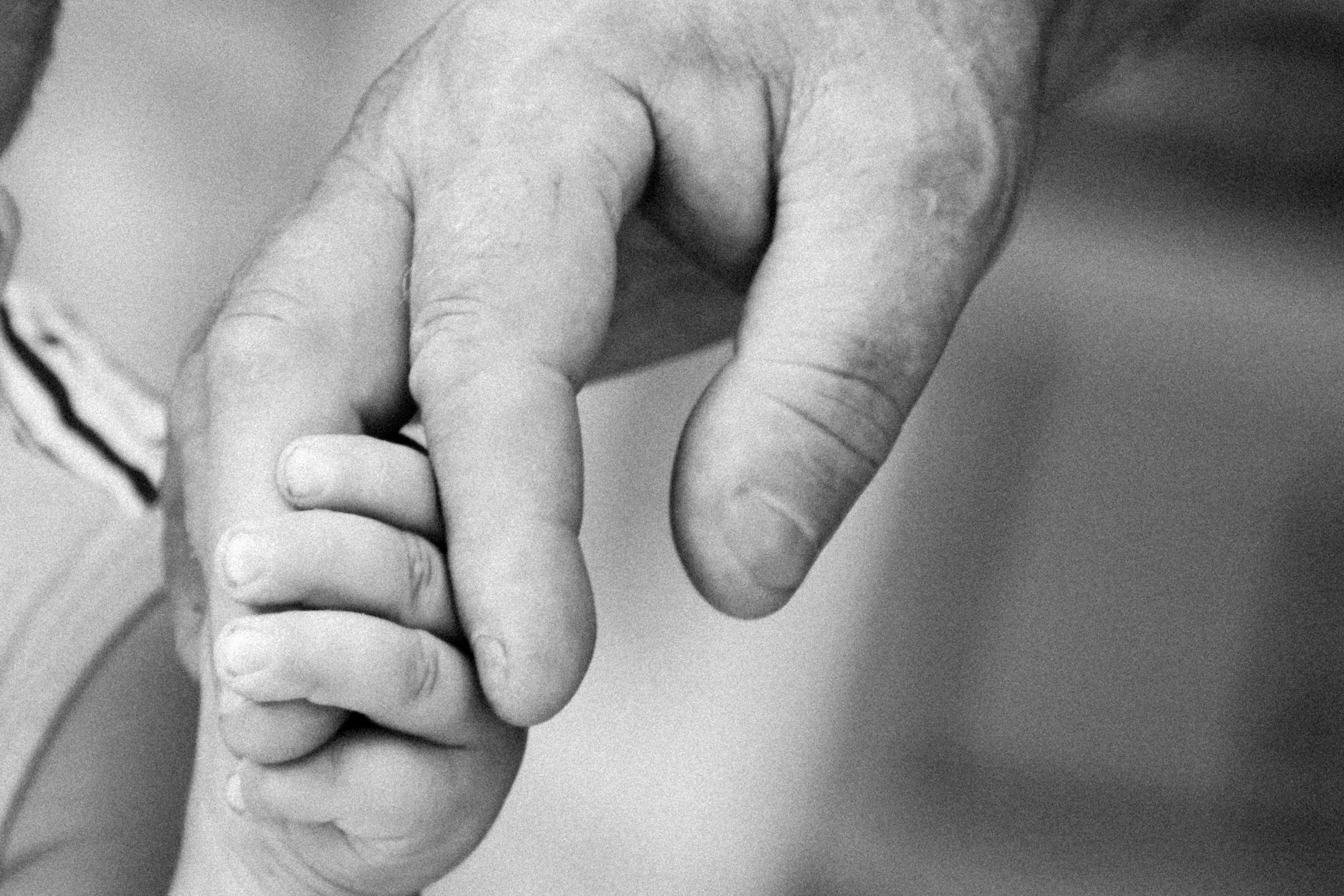 Работы студентов. Начальный уровень (1 и 2 ступень) . "Основы фото-мастерства". Максим Матвийченко и Виктория Басова профессионалы своего дела