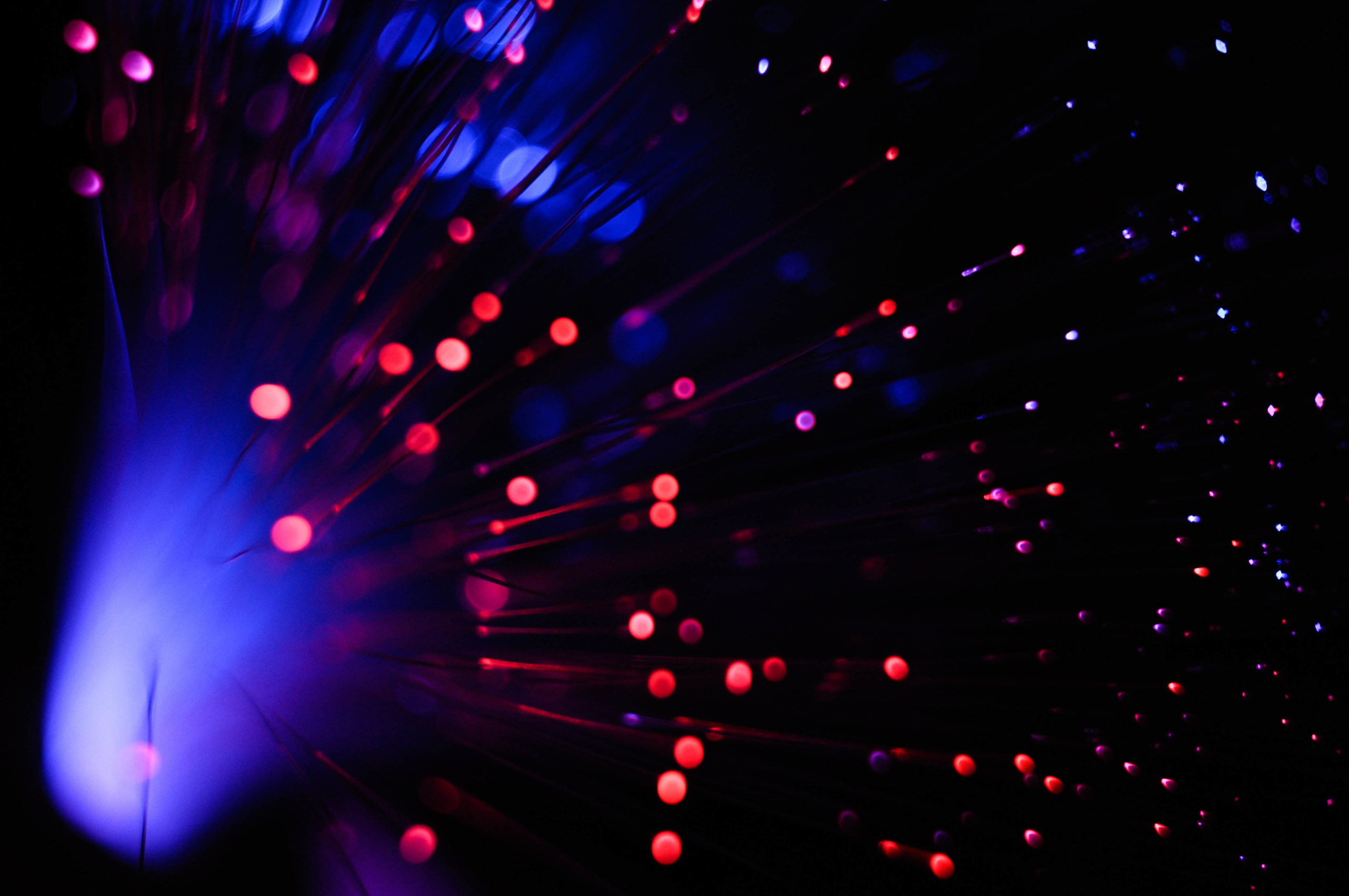 Работы студентов. Продвинутый уровень (1 и 2 ступень) . Интенсив "Художественно…. Максим Матвийченко и Виктория Басова профессионалы своего дела