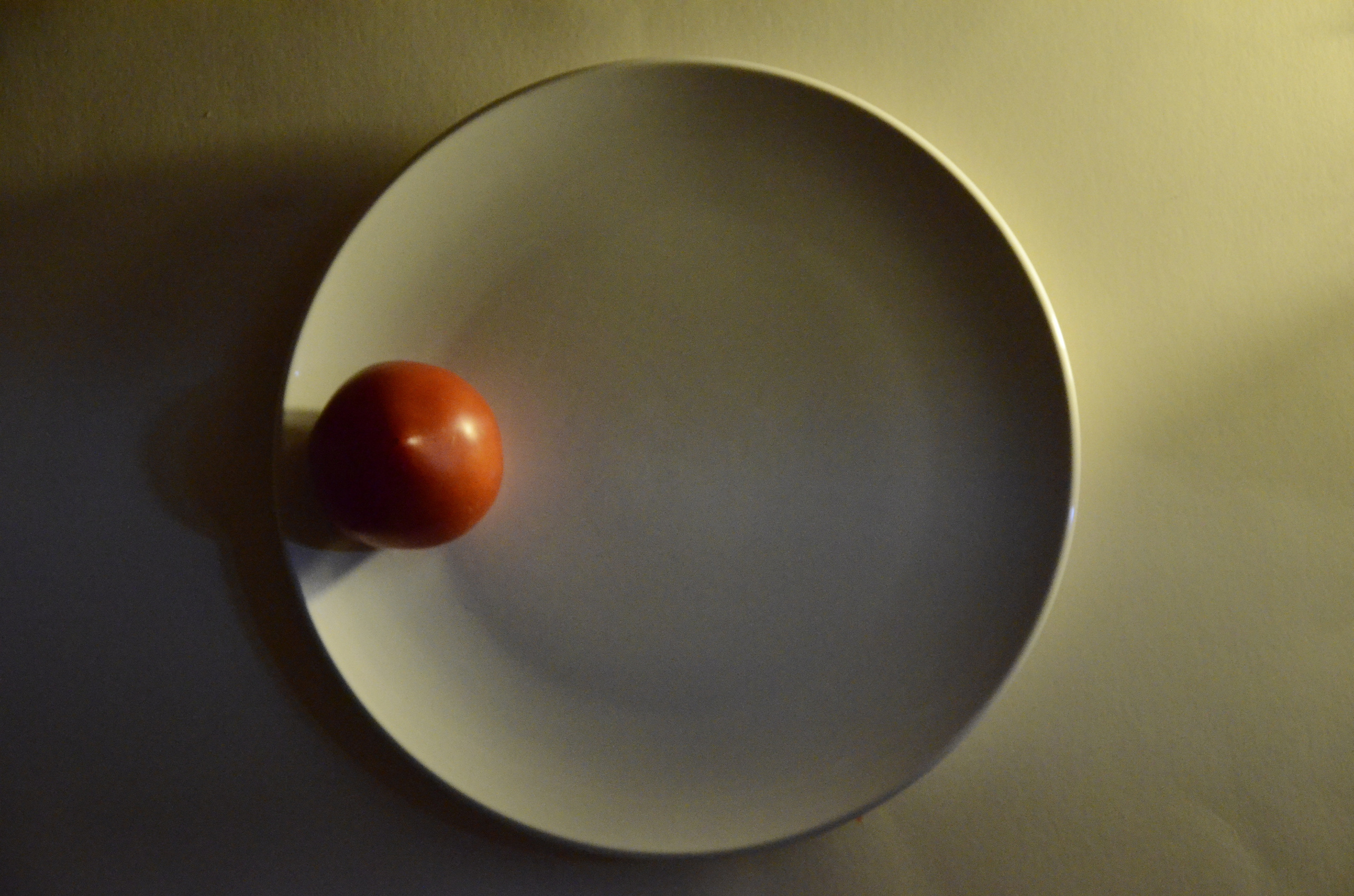 Работы студентов. Начальный уровень (1 и 2 ступень) . "Основы фото-мастерства". Максим Матвийченко и Виктория Басова профессионалы своего дела