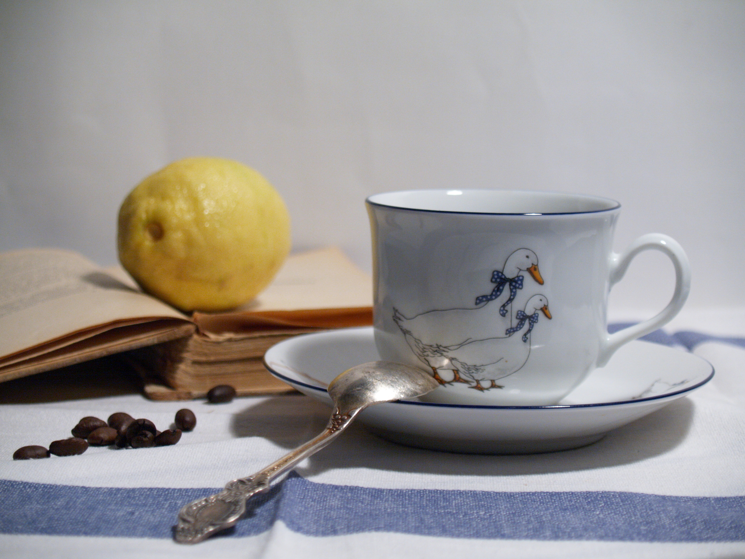 Работы студентов. Начальный уровень (1 и 2 ступень) . "Основы фото-мастерства". Максим Матвийченко и Виктория Басова профессионалы своего дела