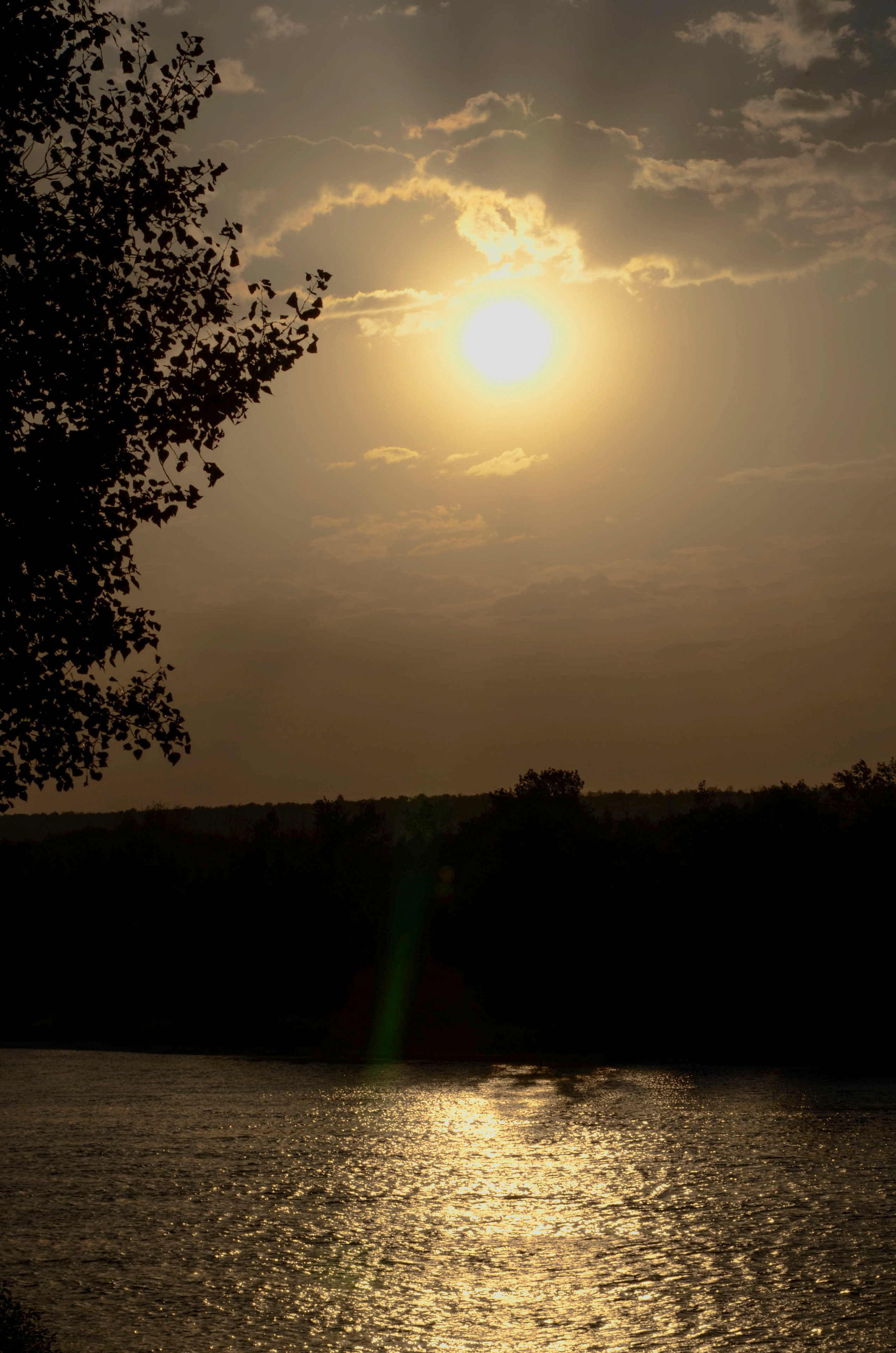 Работы студентов. Начальный уровень (1 и 2 ступень) . "Основы фото-мастерства". Максим Матвийченко и Виктория Басова профессионалы своего дела