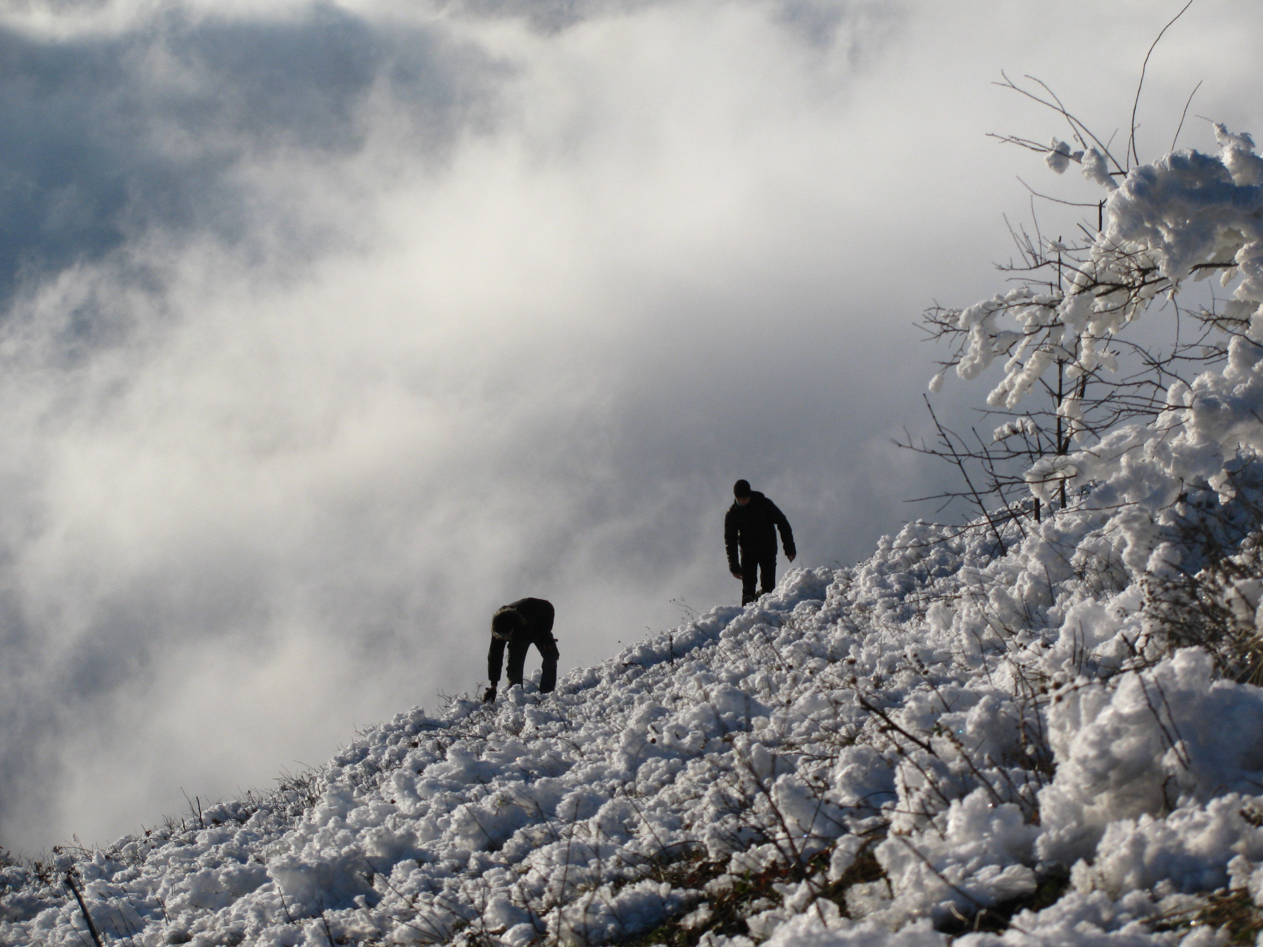 Работы студентов. Продвинутый уровень (1 и 2 ступень) . Интенсив "Художественно…. Максим Матвийченко и Виктория Басова профессионалы своего дела