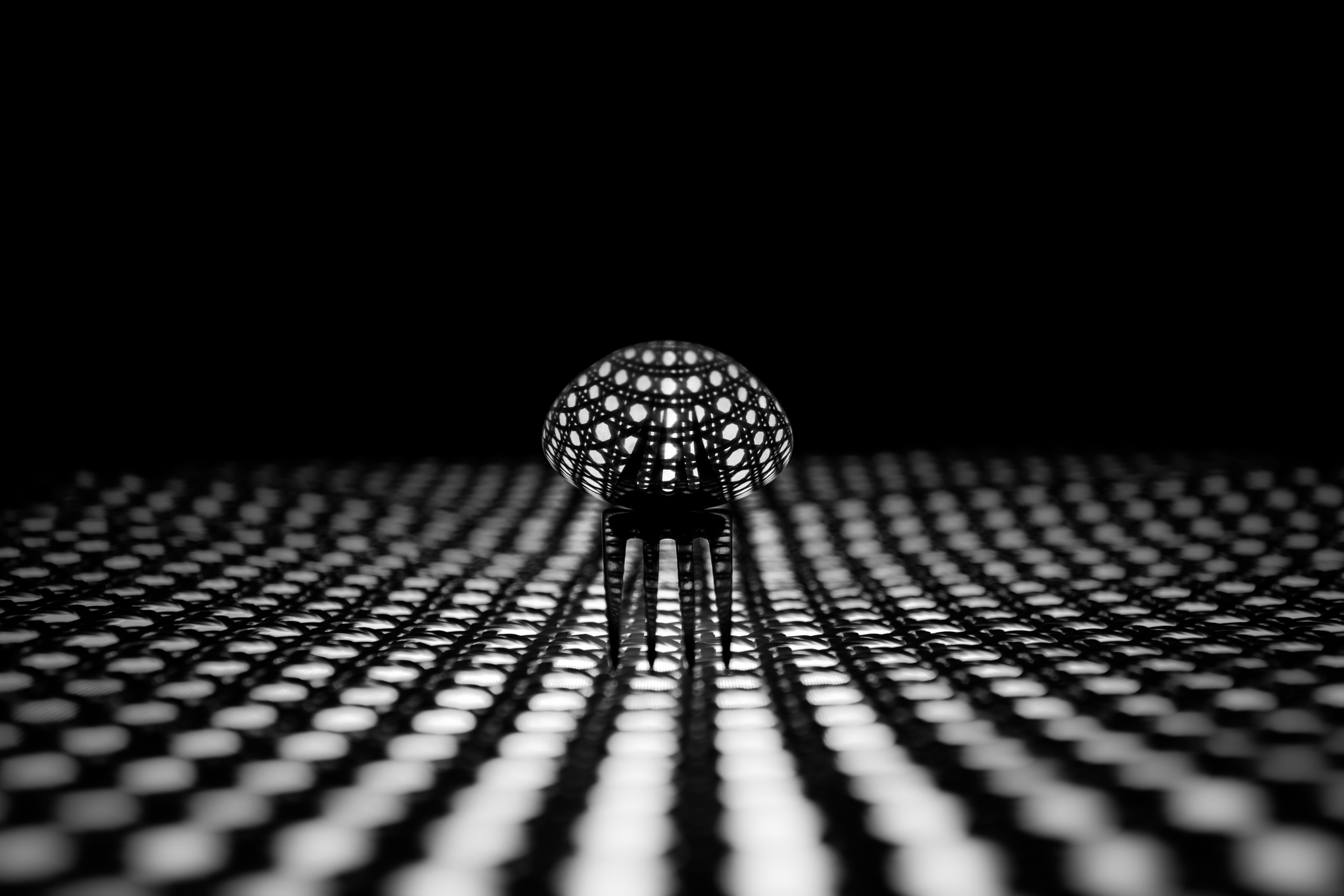 Работы студентов. Начальный уровень (1 и 2 ступень) . "Основы фото-мастерства". Максим Матвийченко и Виктория Басова профессионалы своего дела