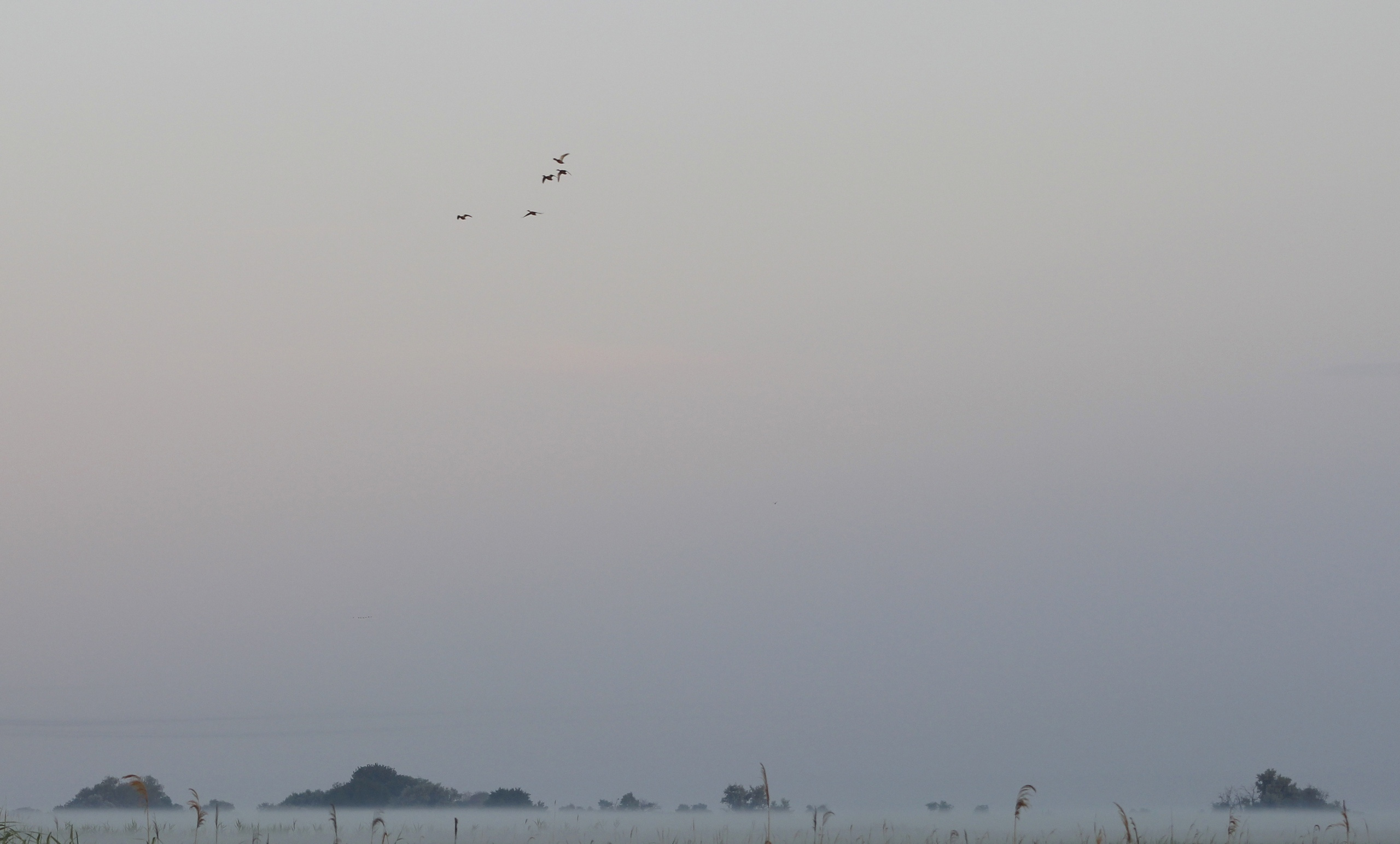 Работы студентов. Продвинутый уровень (1 и 2 ступень) . Интенсив "Художественно…. Максим Матвийченко и Виктория Басова профессионалы своего дела