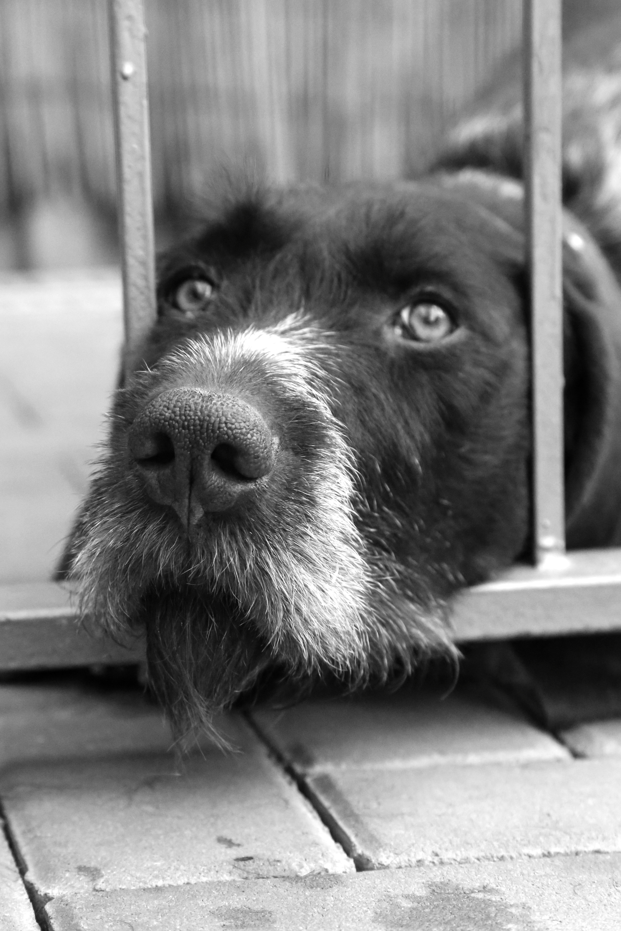 Работы студентов. Продвинутый уровень (1 и 2 ступень) . Интенсив "Художественно…. Максим Матвийченко и Виктория Басова профессионалы своего дела